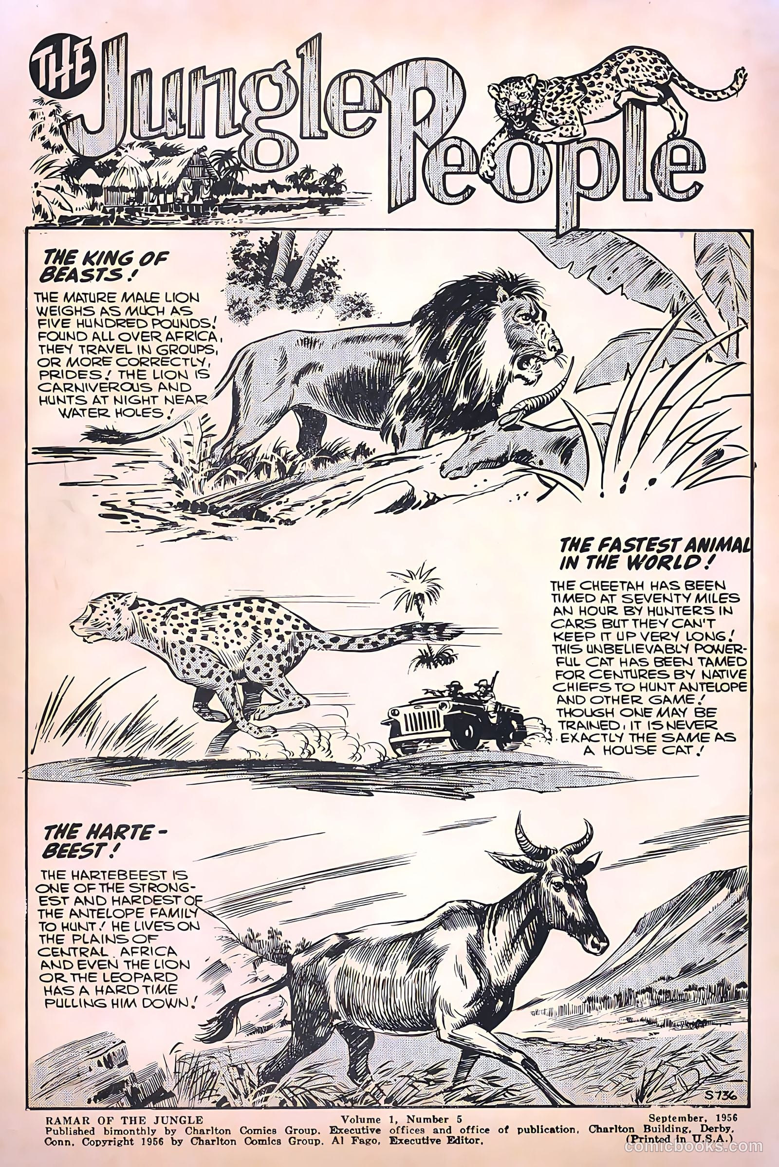 Ramar of the Jungle #5 — page 2 of 36