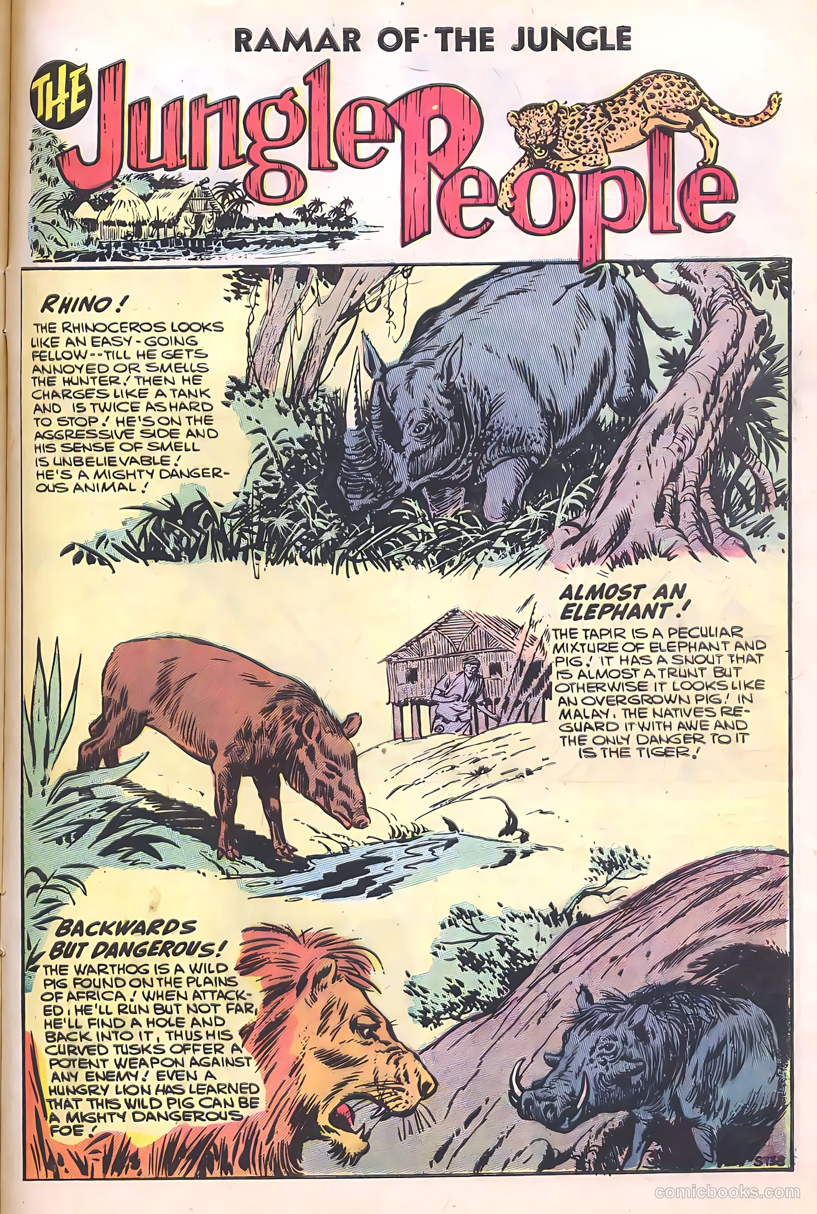 Ramar of the Jungle #5 — page 29 of 36
