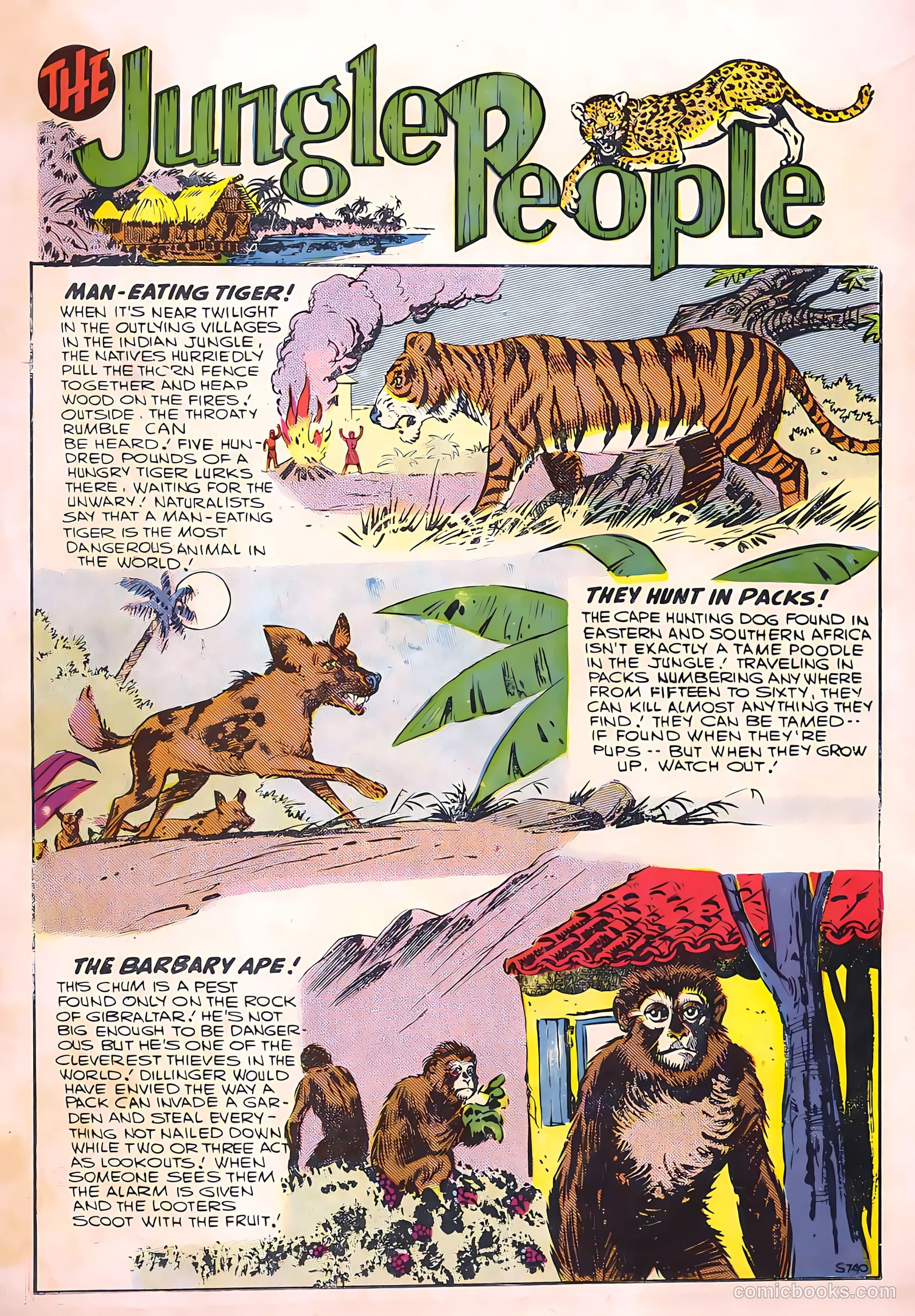 Ramar of the Jungle #5 — page 36 of 36