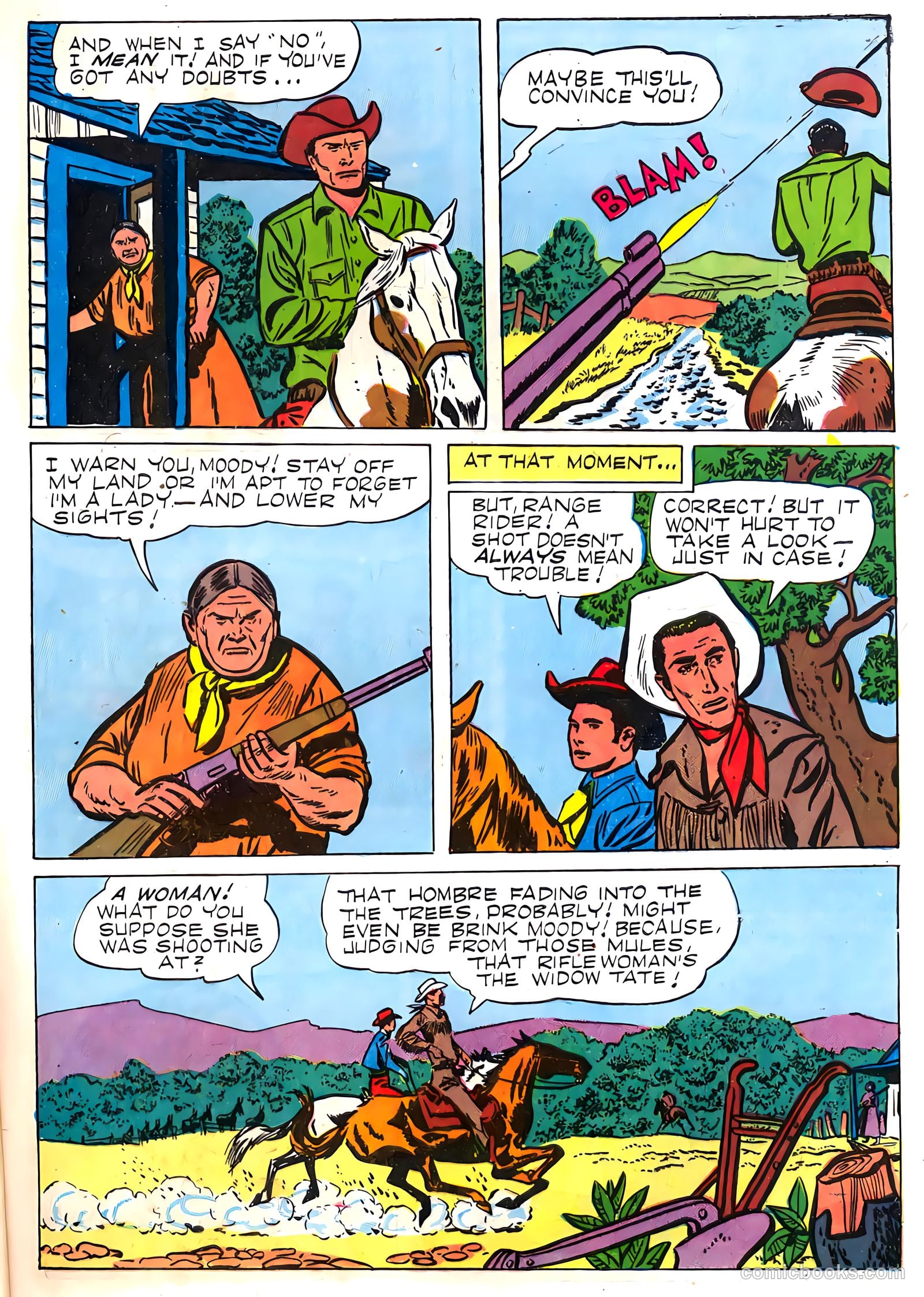 Range Rider #13 — page 29 of 36