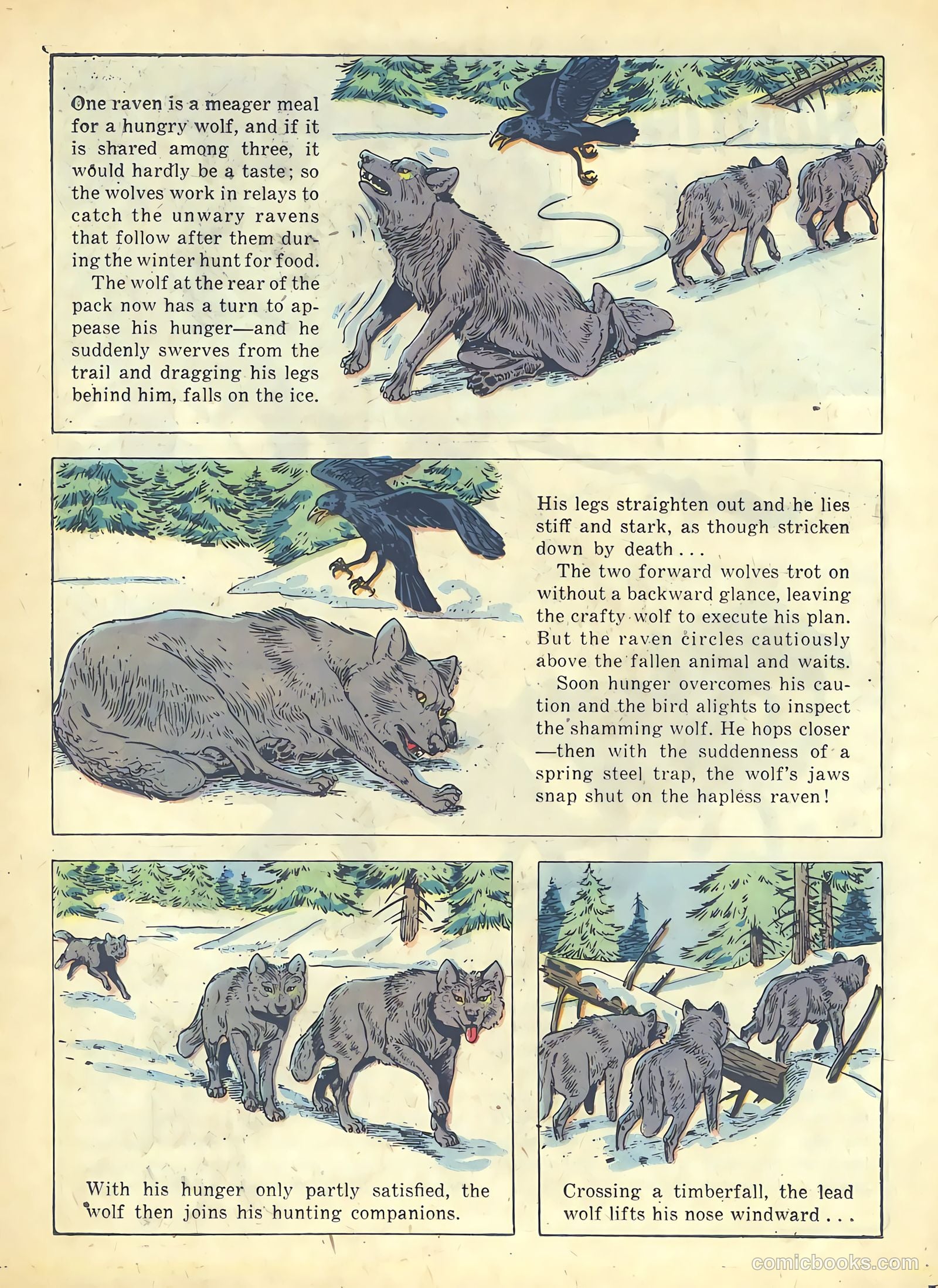 Range Rider #19 — page 26 of 36