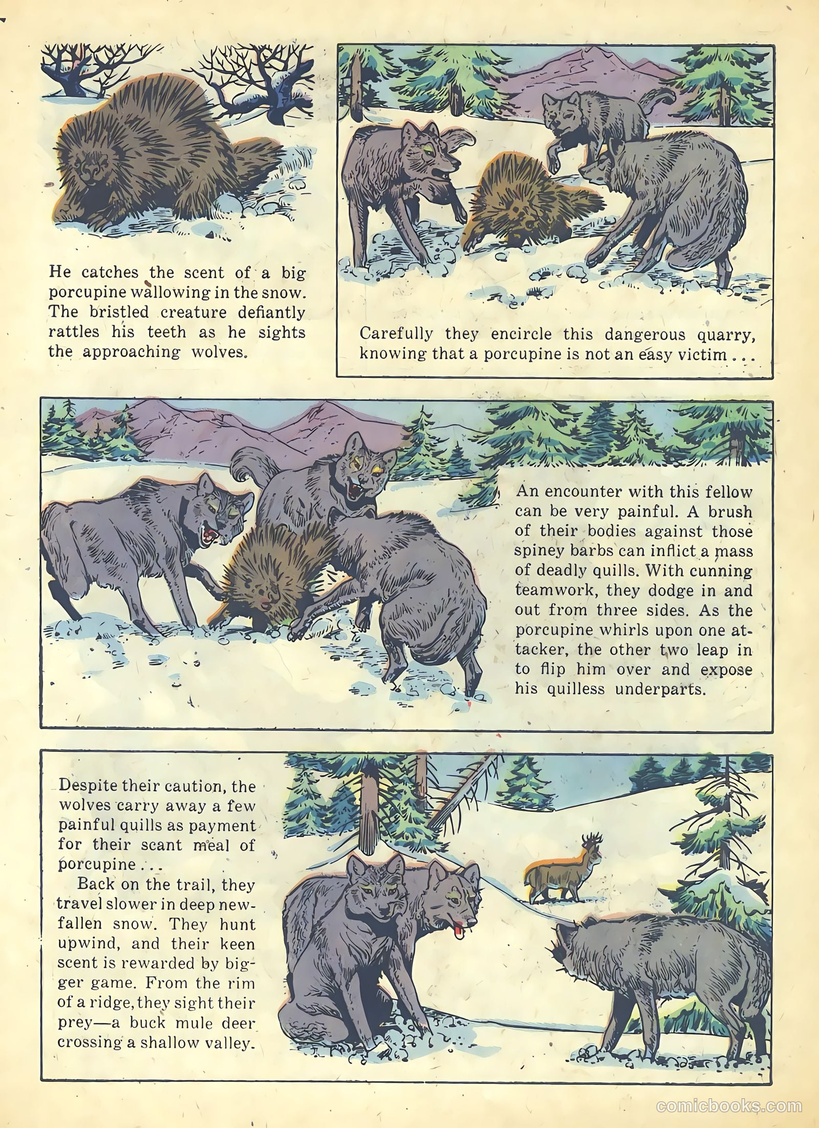Range Rider #19 — page 27 of 36