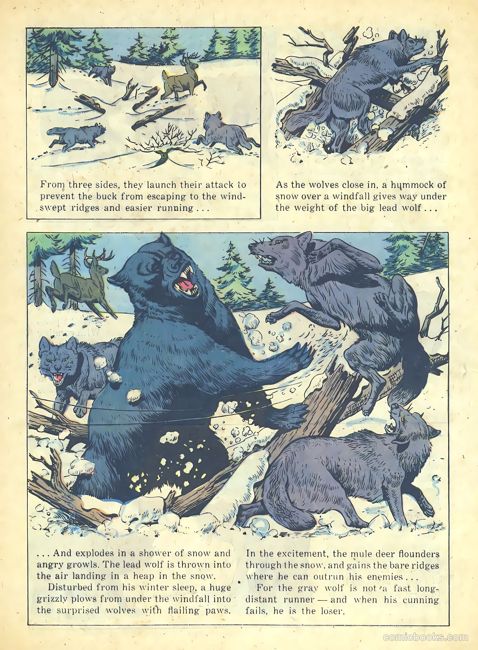 Range Rider #19 — page 28 of 36