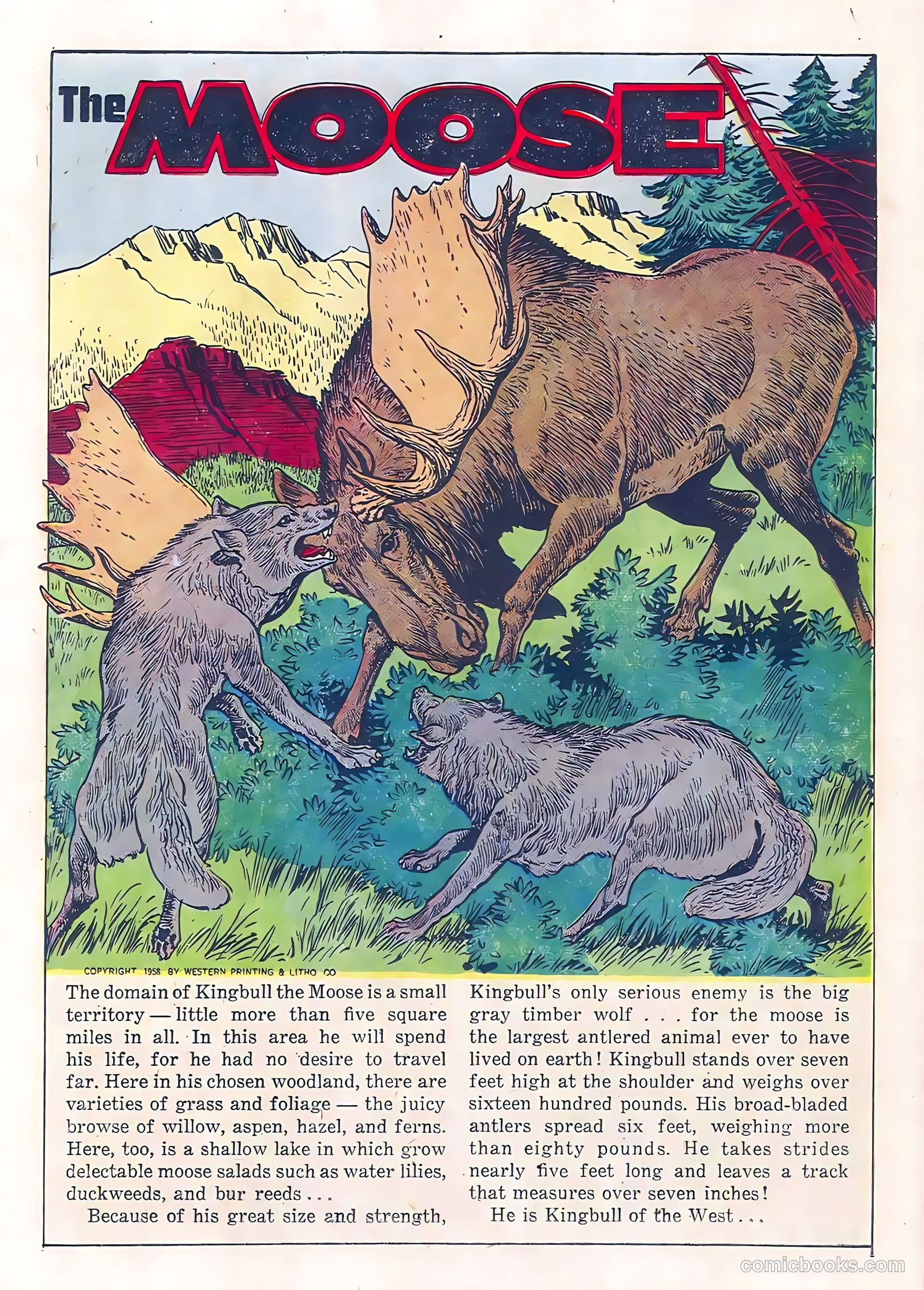 Range Rider #21 — page 18 of 36