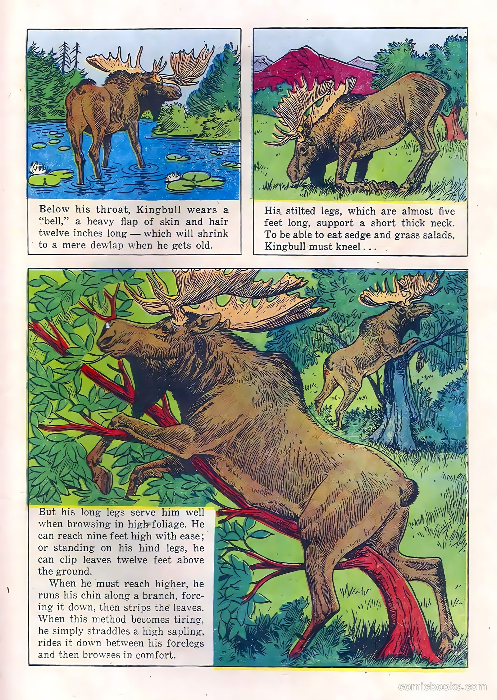 Range Rider #21 — page 19 of 36