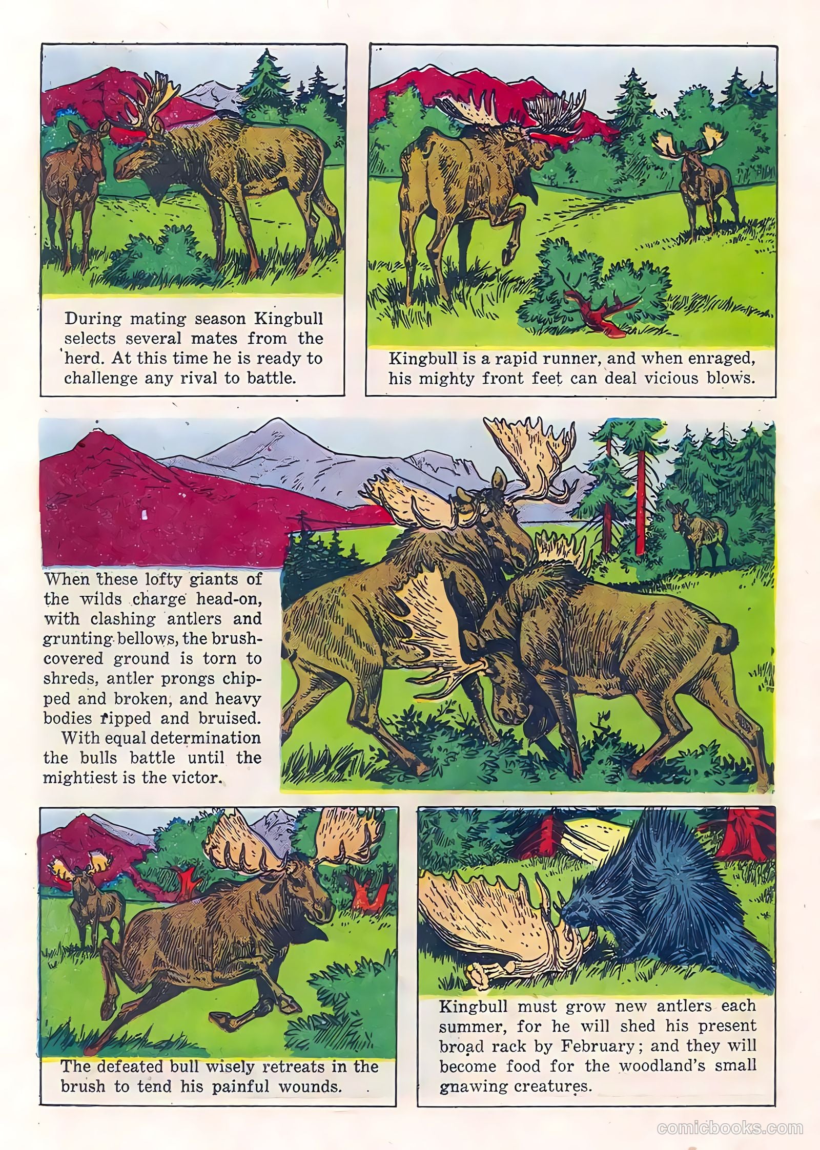 Range Rider #21 — page 20 of 36
