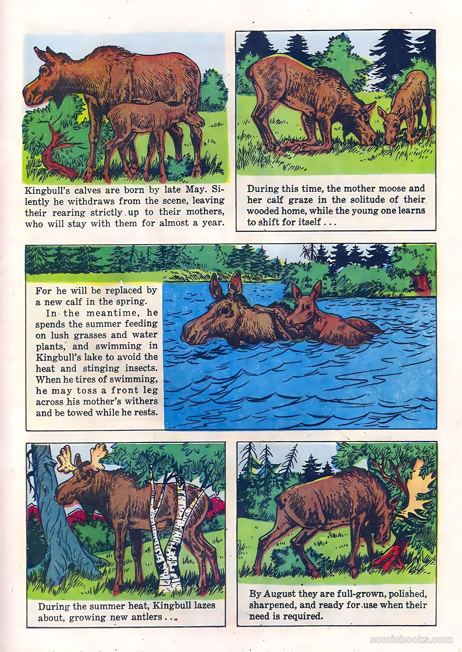 Range Rider #21 — page 21 of 36