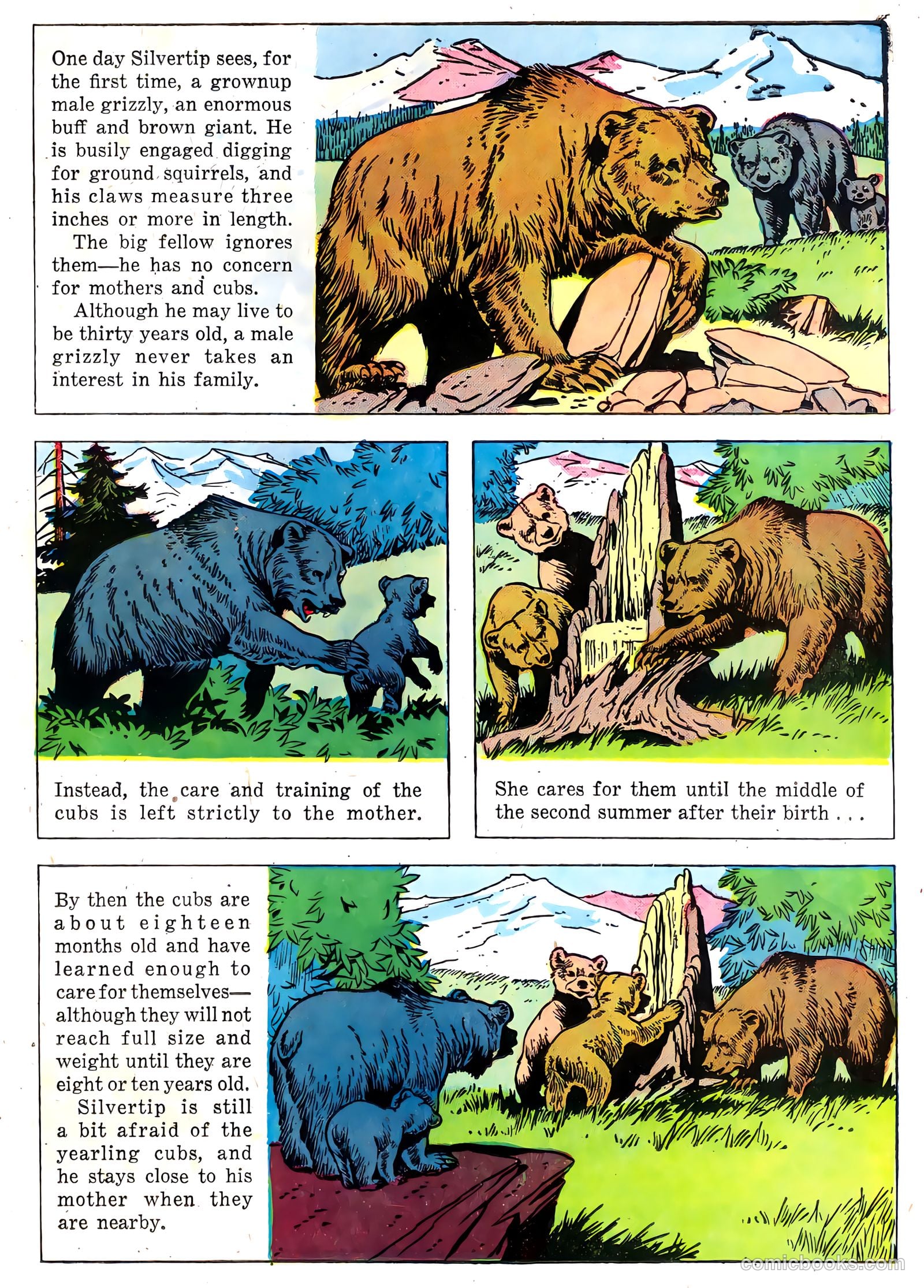 The Flying A's Range Rider #22 — page 23 of 36
