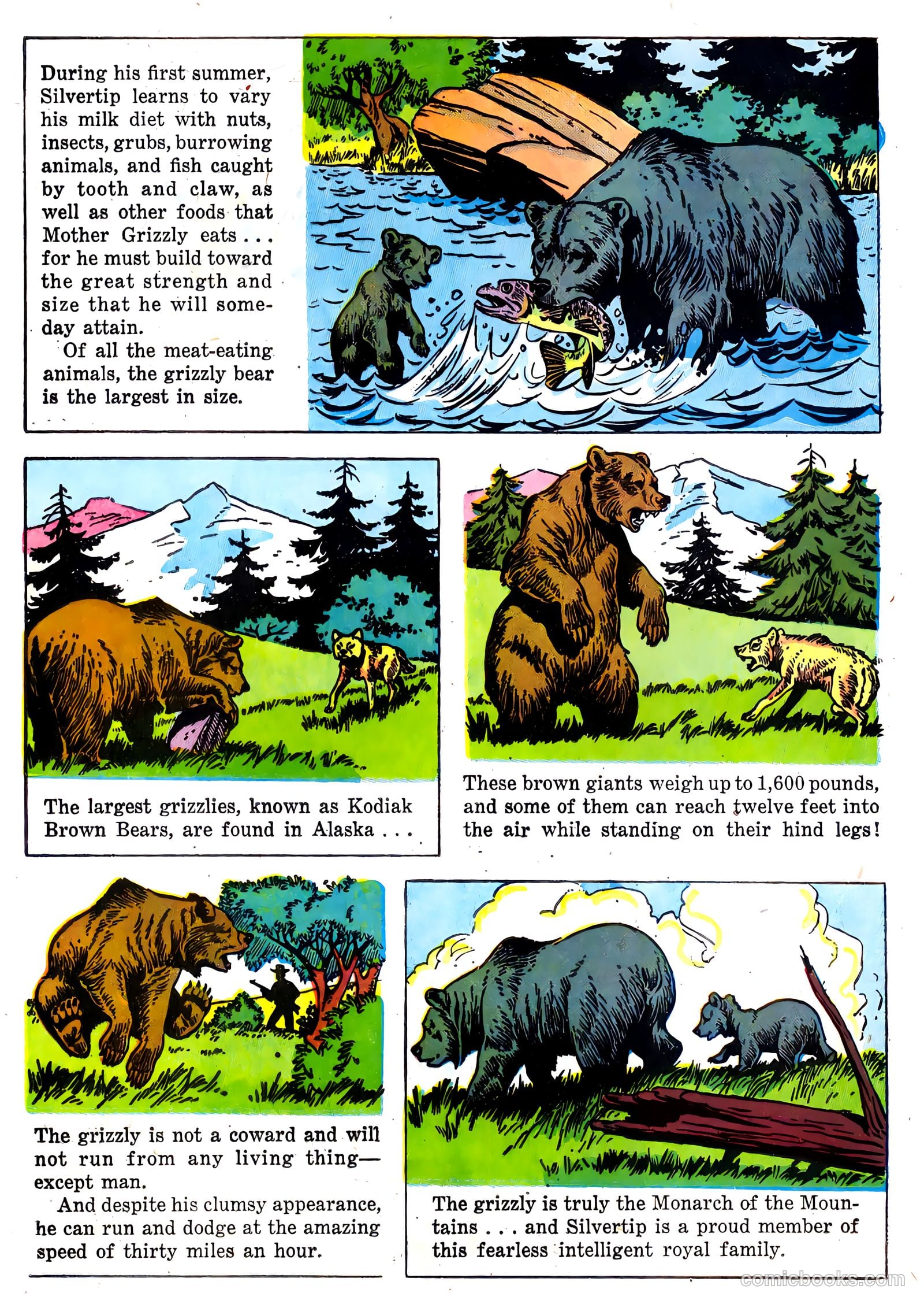 The Flying A's Range Rider #22 — page 24 of 36