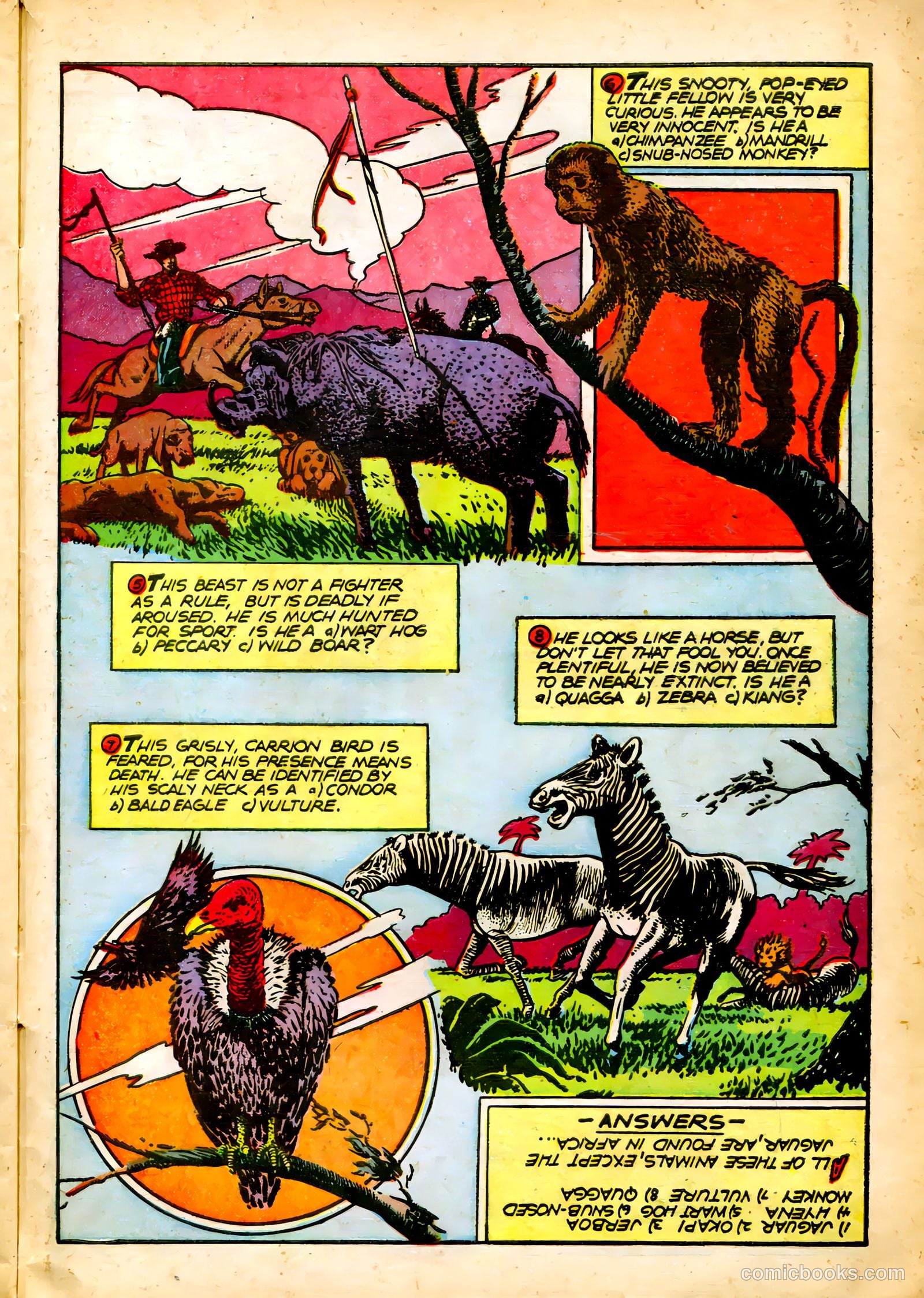 Rangers Comics #64 — page 27 of 36