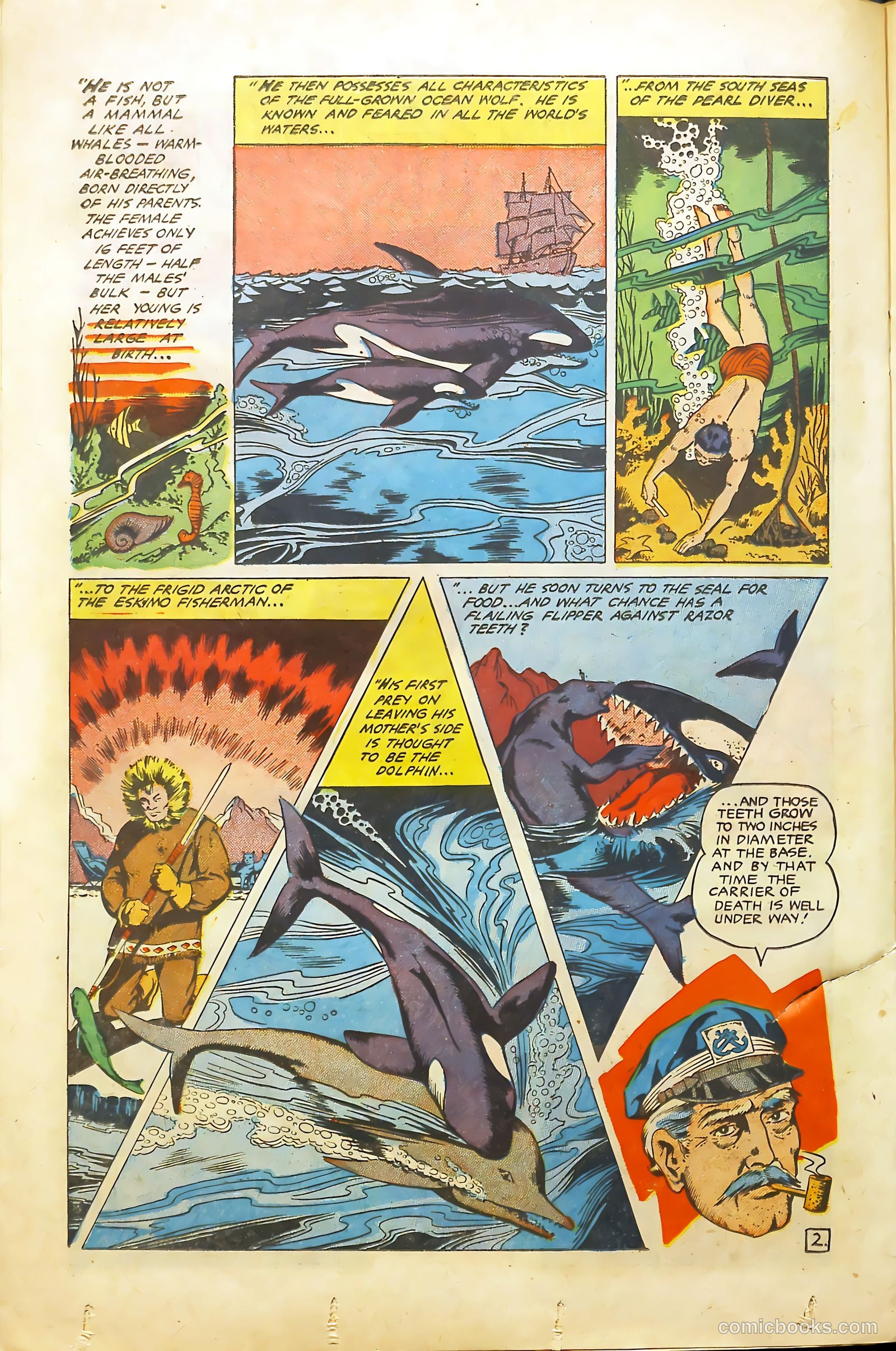 Rangers Comics #66 — page 22 of 37