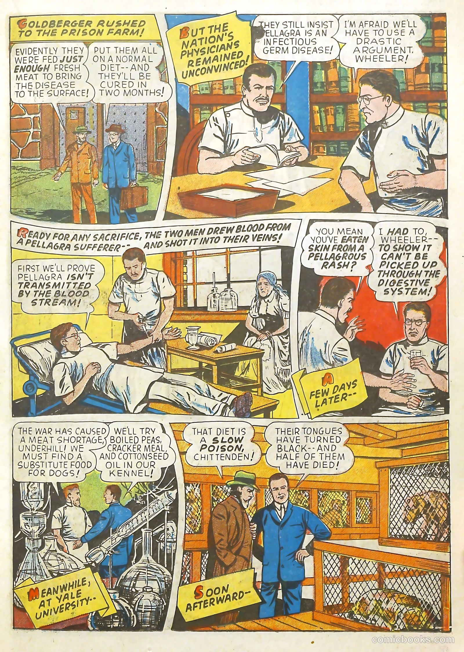 Real Adventure Comics #12 — page 23 of 60
