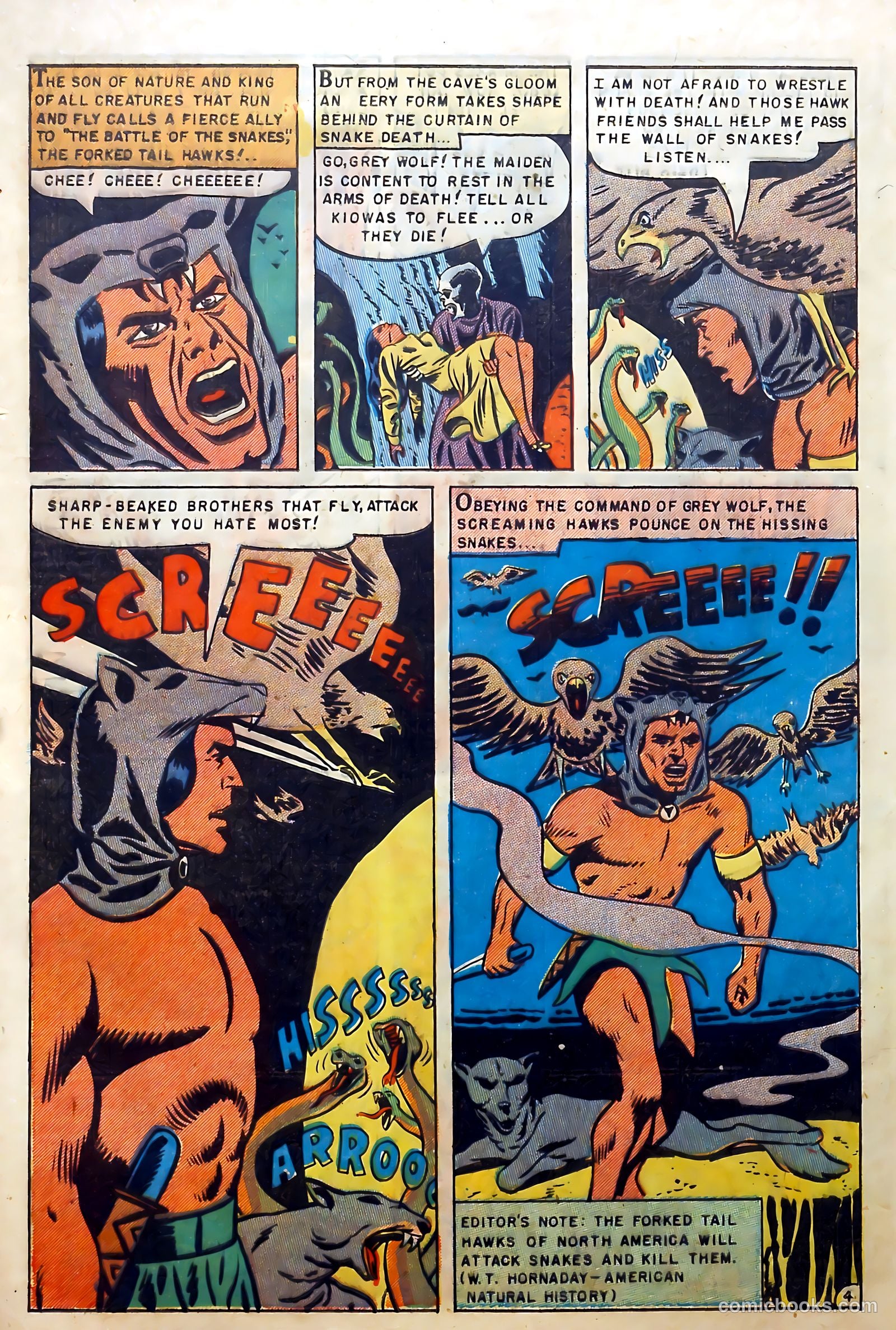 Redskin #10 — page 30 of 37