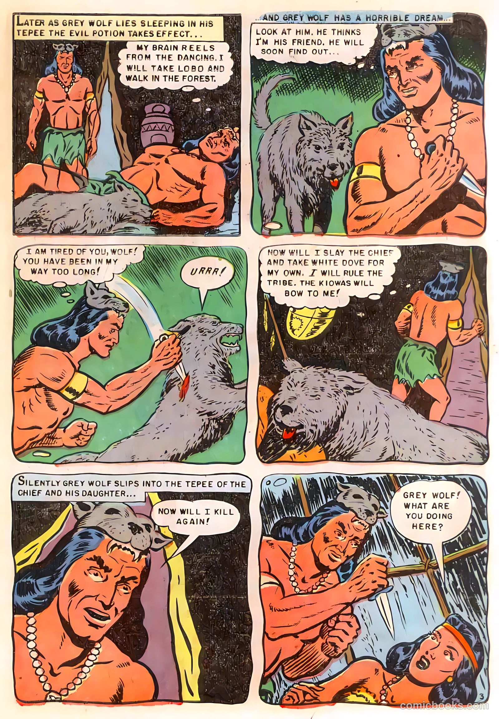 Redskin #11 — page 29 of 36
