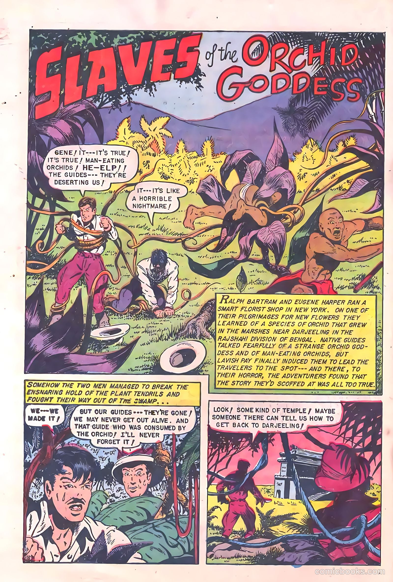Baffling Mysteries #14 — page 28 of 36