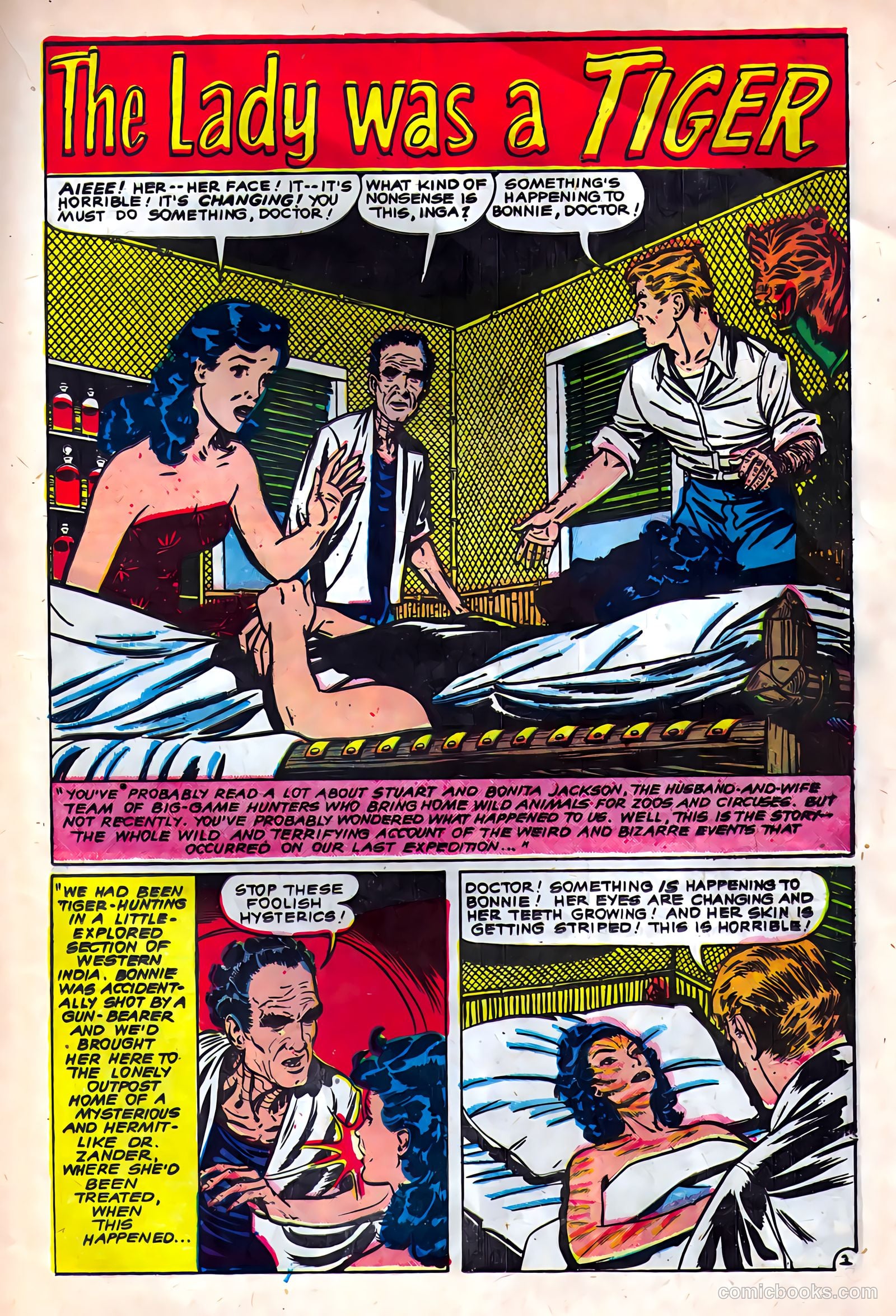 Baffling Mysteries #5 — page 17 of 36