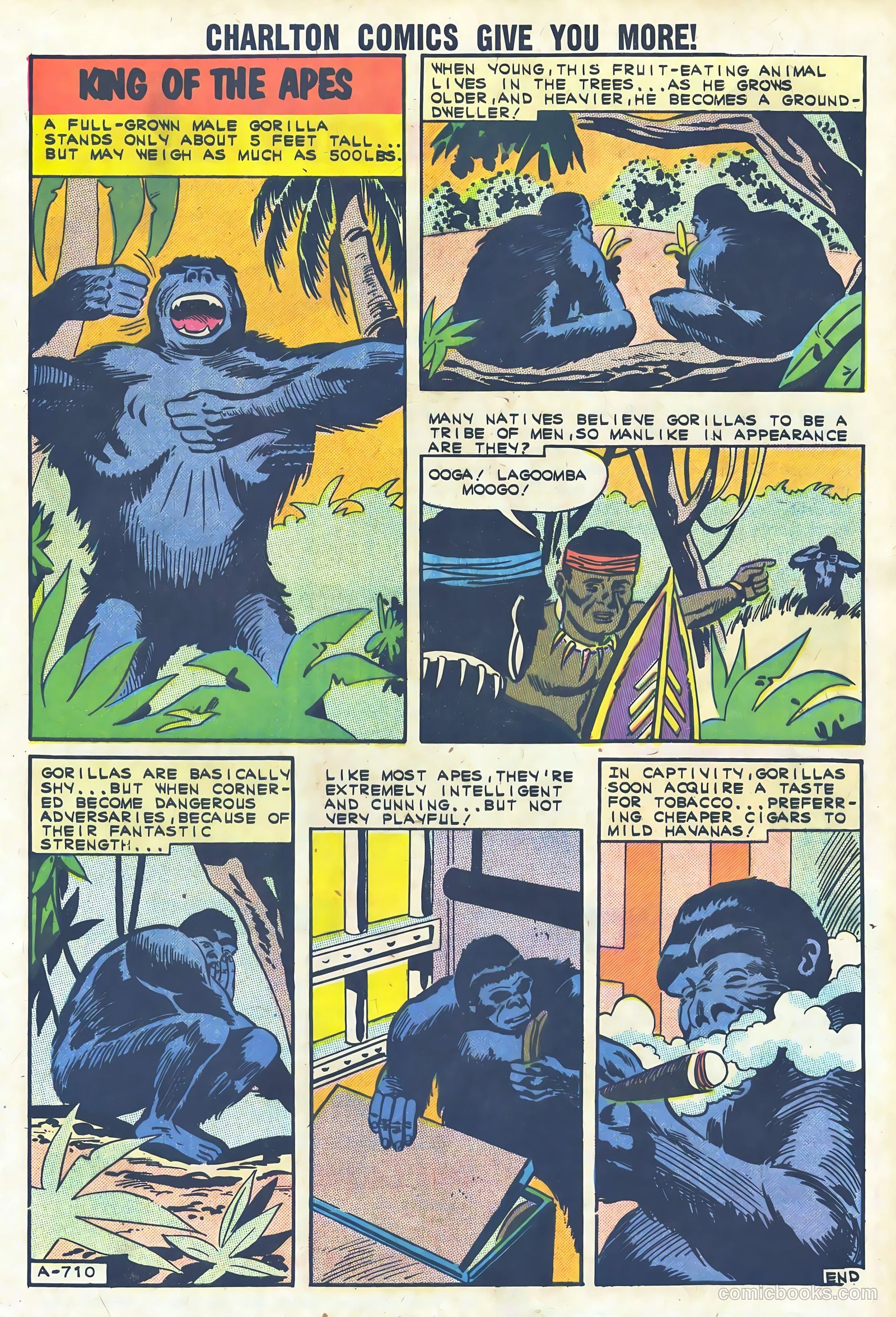 Reptisaurus #4 — page 33 of 36