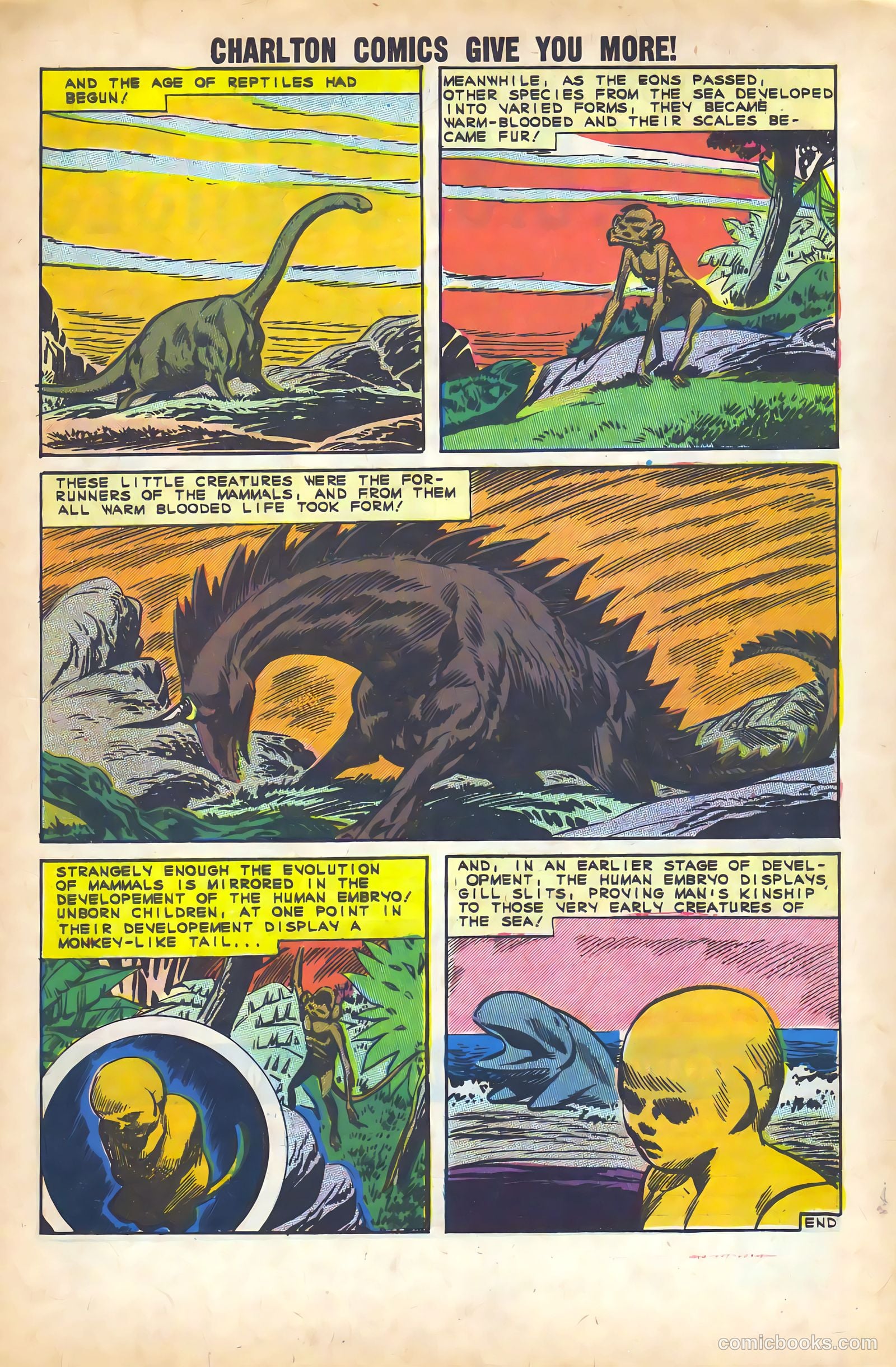 Reptisaurus Special Edition #1 — page 33 of 36