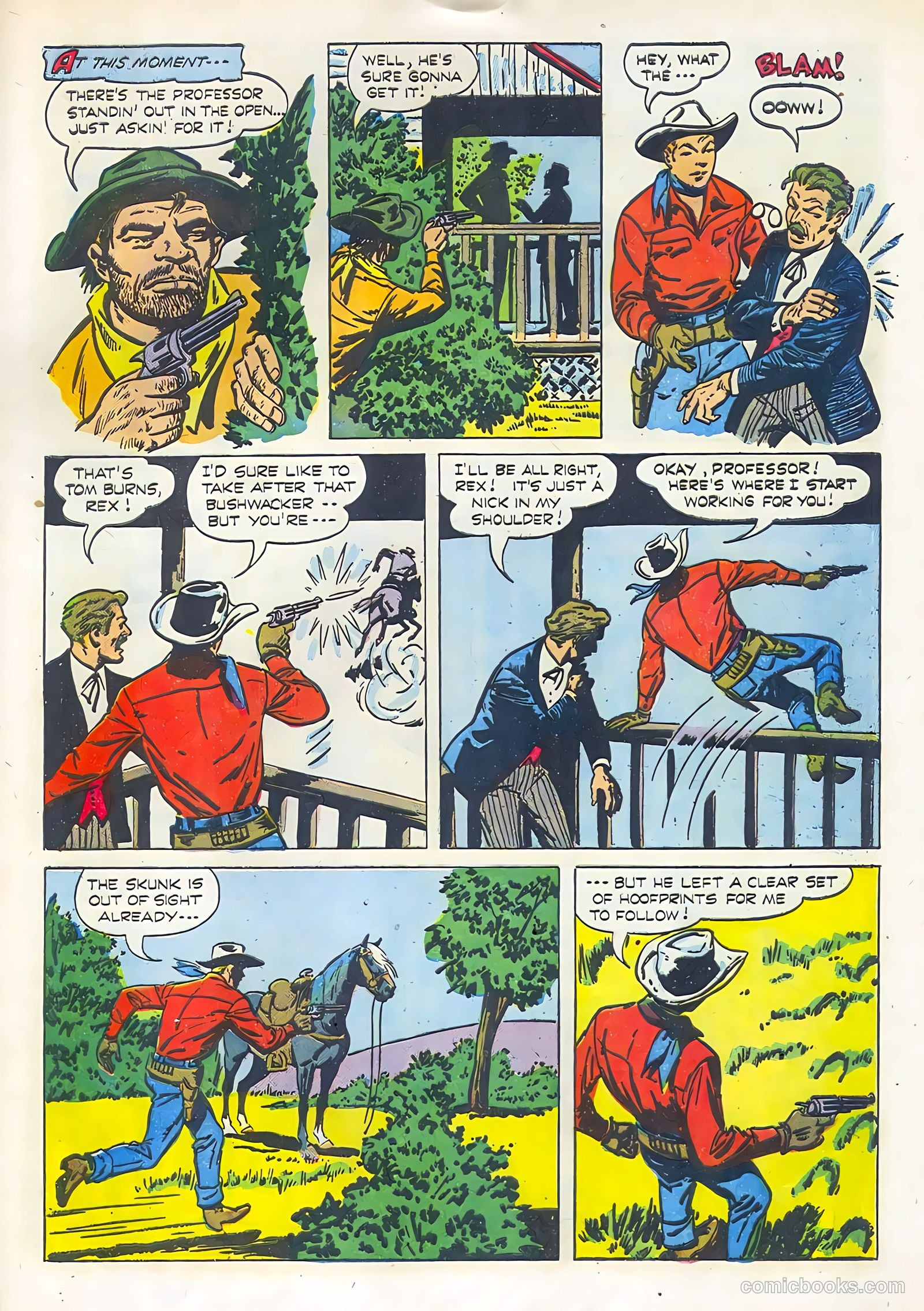 Rex Allen #13 — page 29 of 36