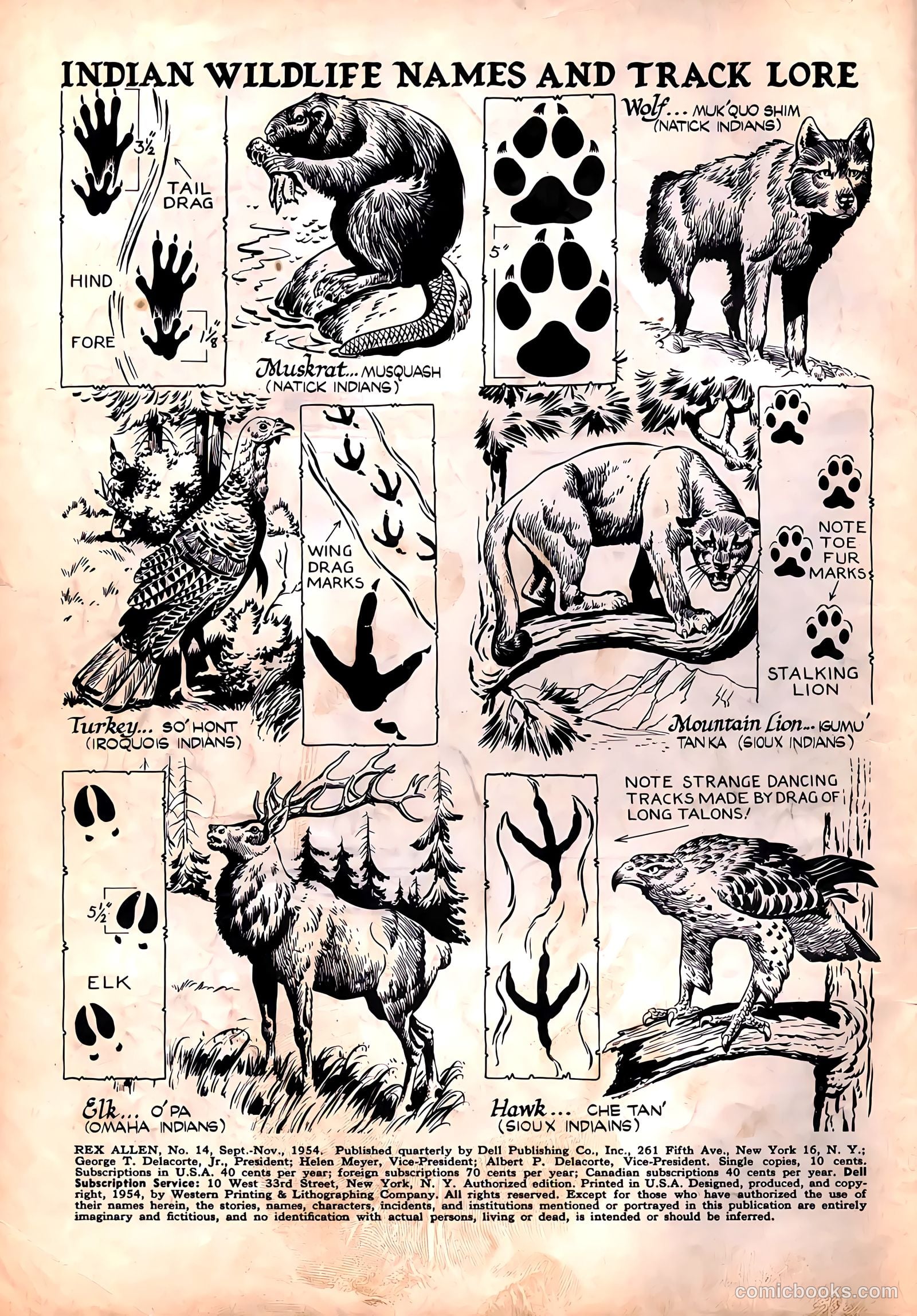 Rex Allen #14 — page 2 of 36