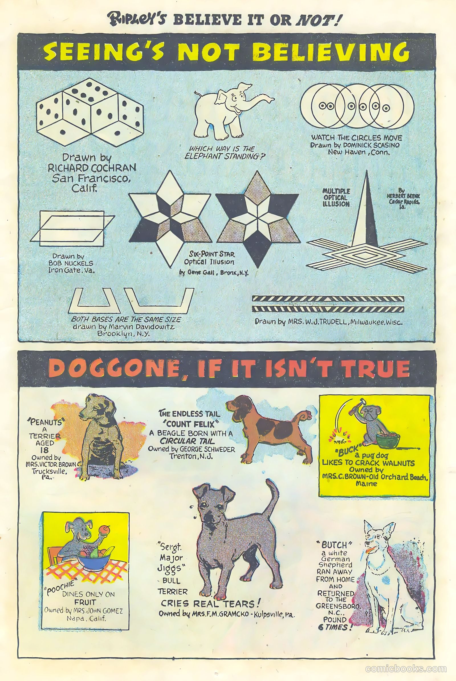 Ripley's Believe It or Not! #1 — page 11 of 36