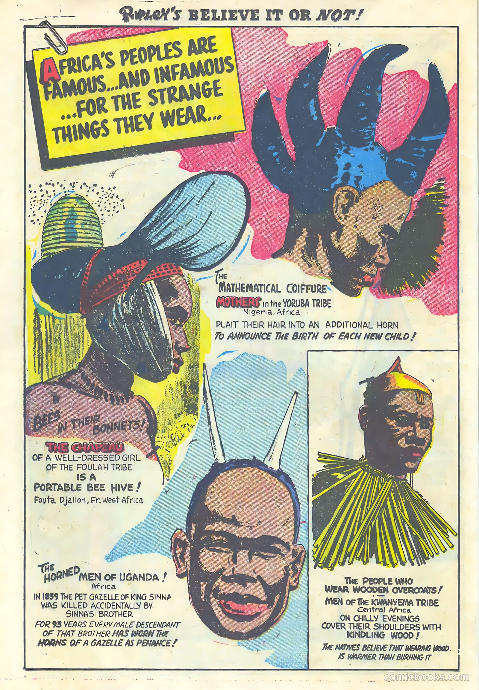 Ripley's Believe It or Not! #1 — page 22 of 36