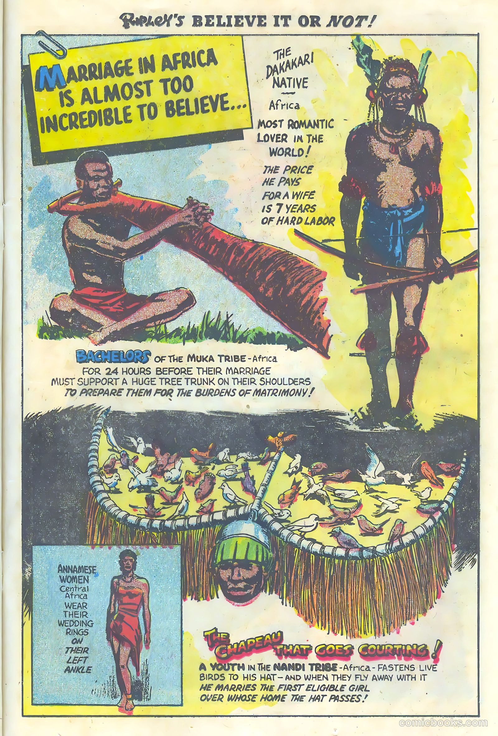 Ripley's Believe It or Not! #1 — page 23 of 36