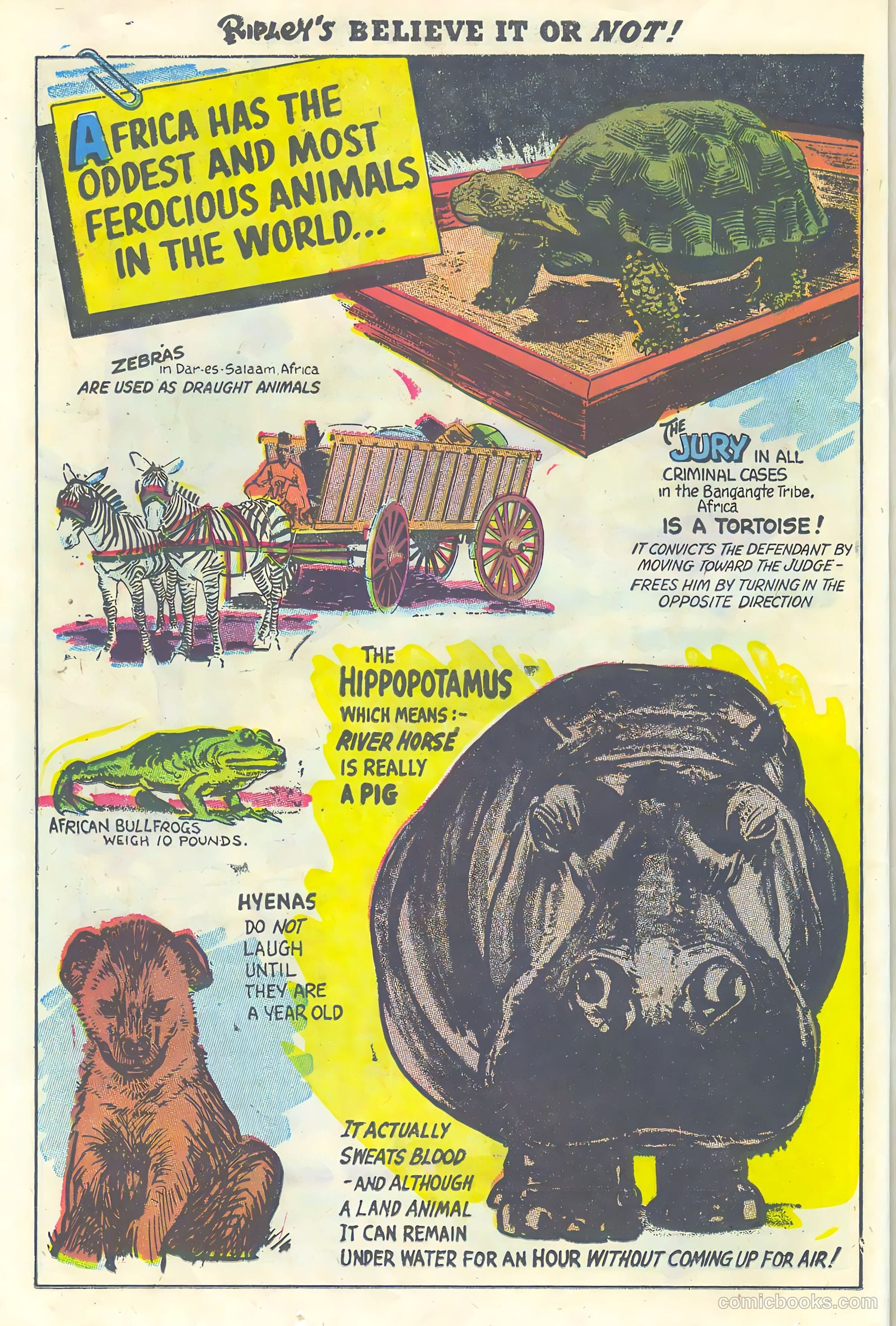 Ripley's Believe It or Not! #1 — page 24 of 36