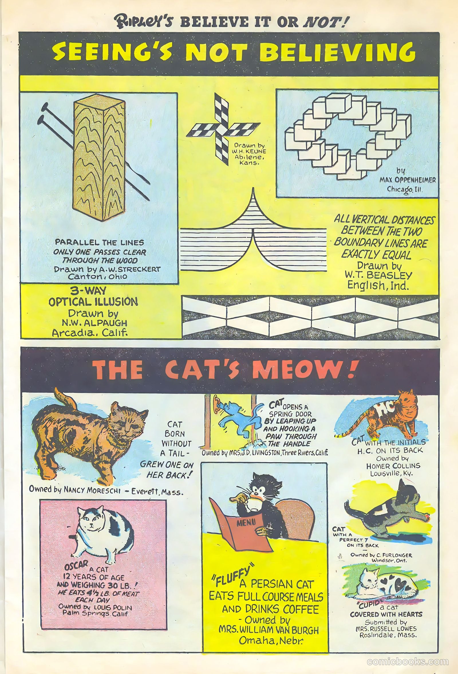 Ripley's Believe It or Not! #2 — page 11 of 36