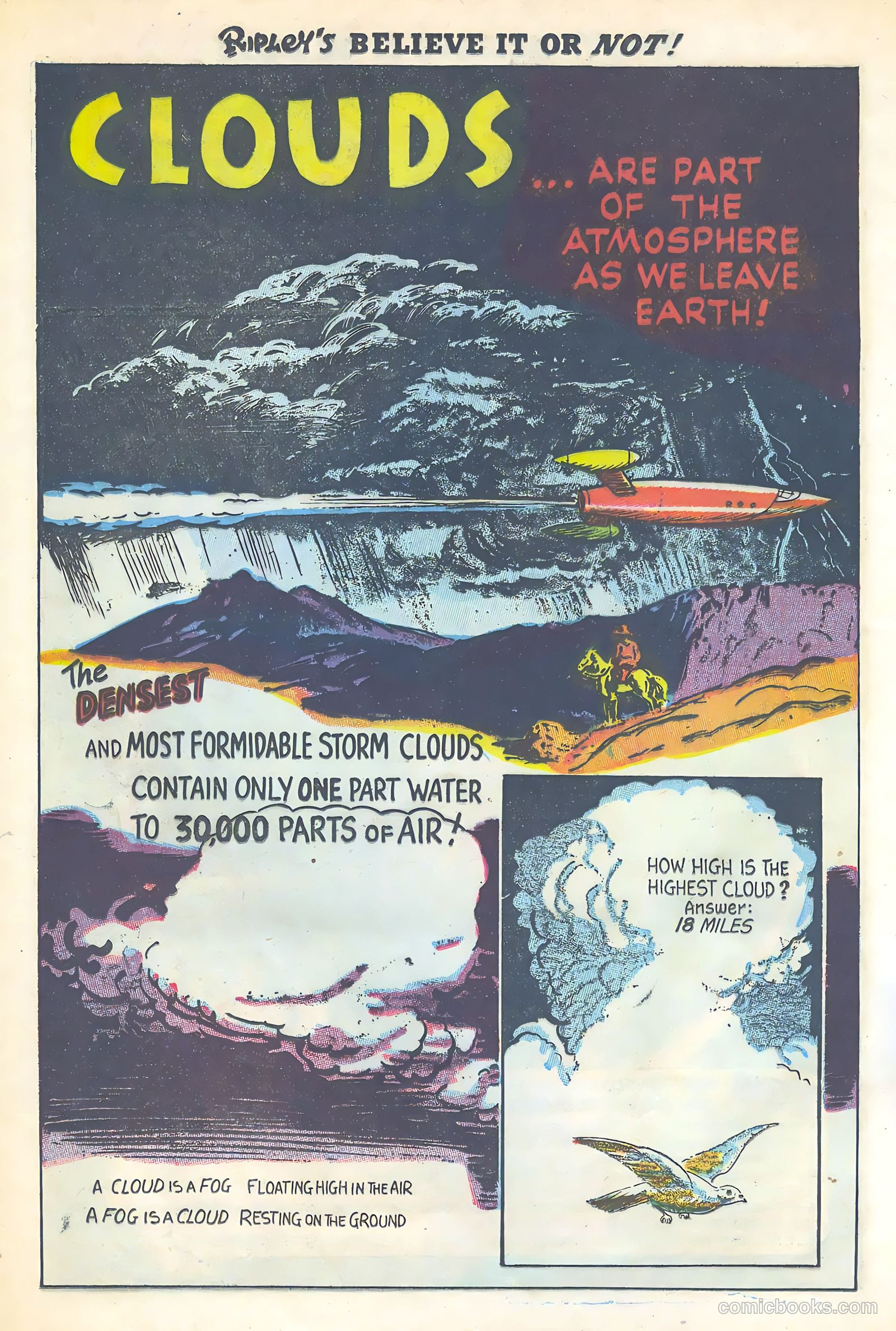 Ripley's Believe It or Not! #2 — page 22 of 36