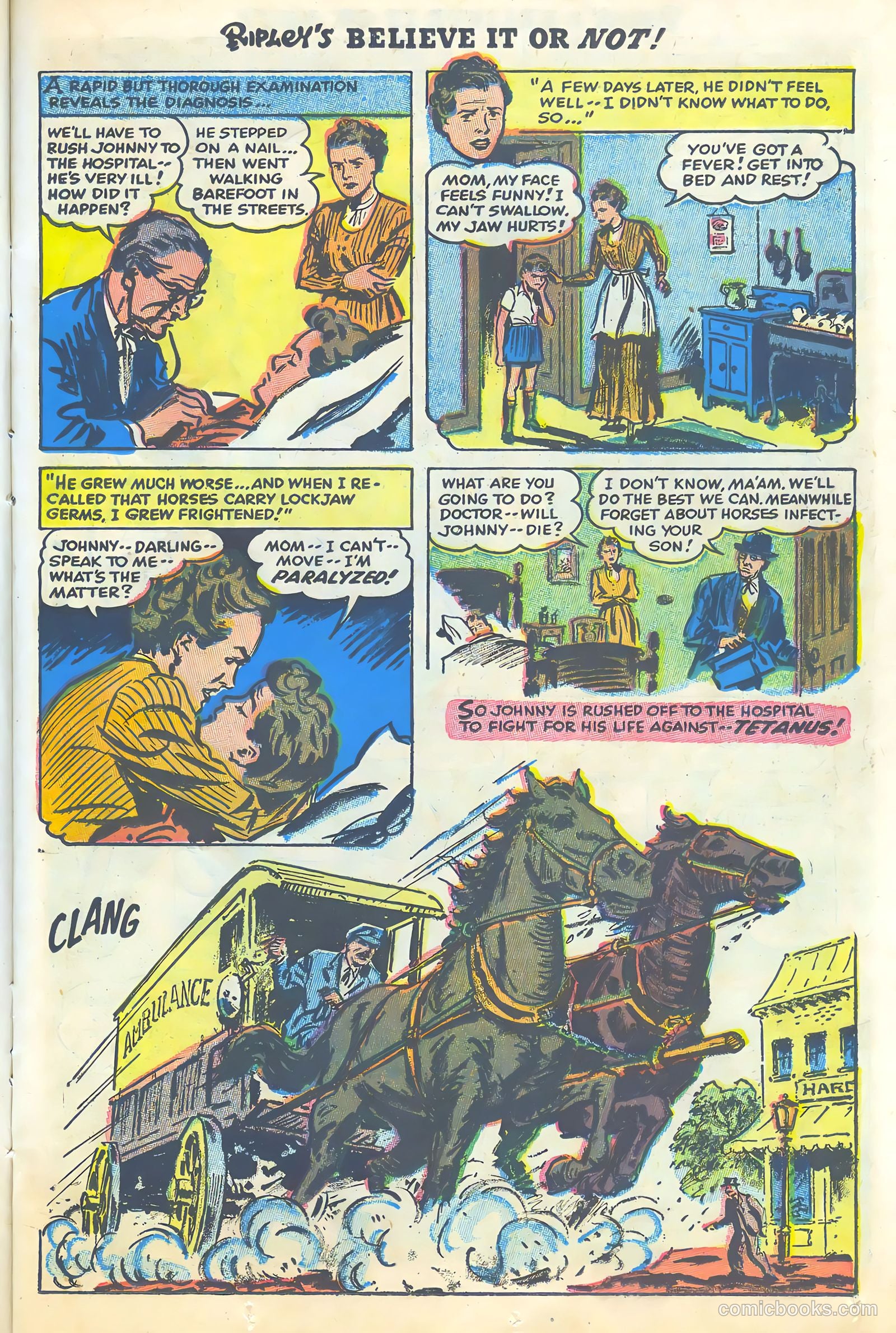 Ripley's Believe It or Not #3 — page 13 of 35