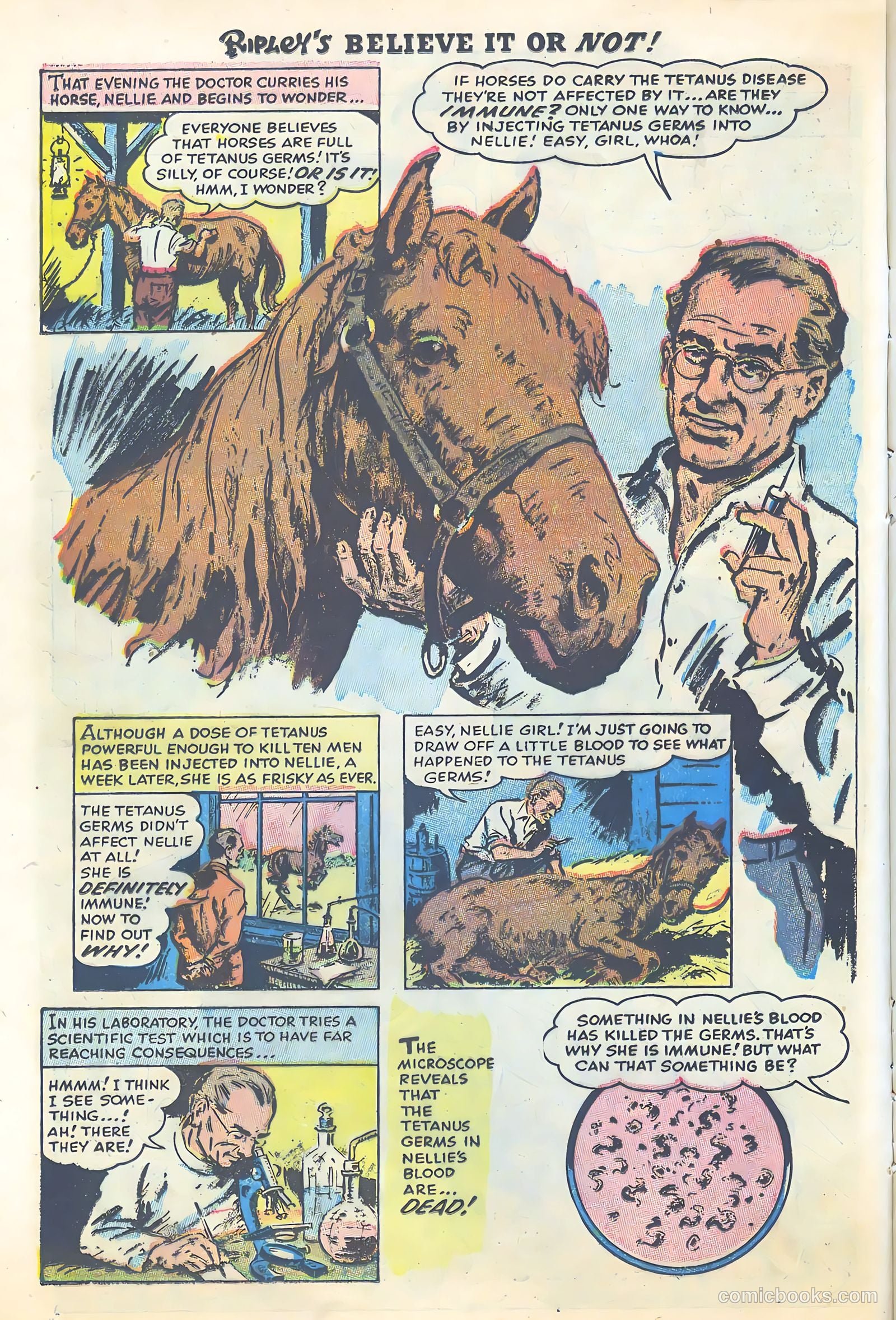 Ripley's Believe It or Not #3 — page 14 of 35