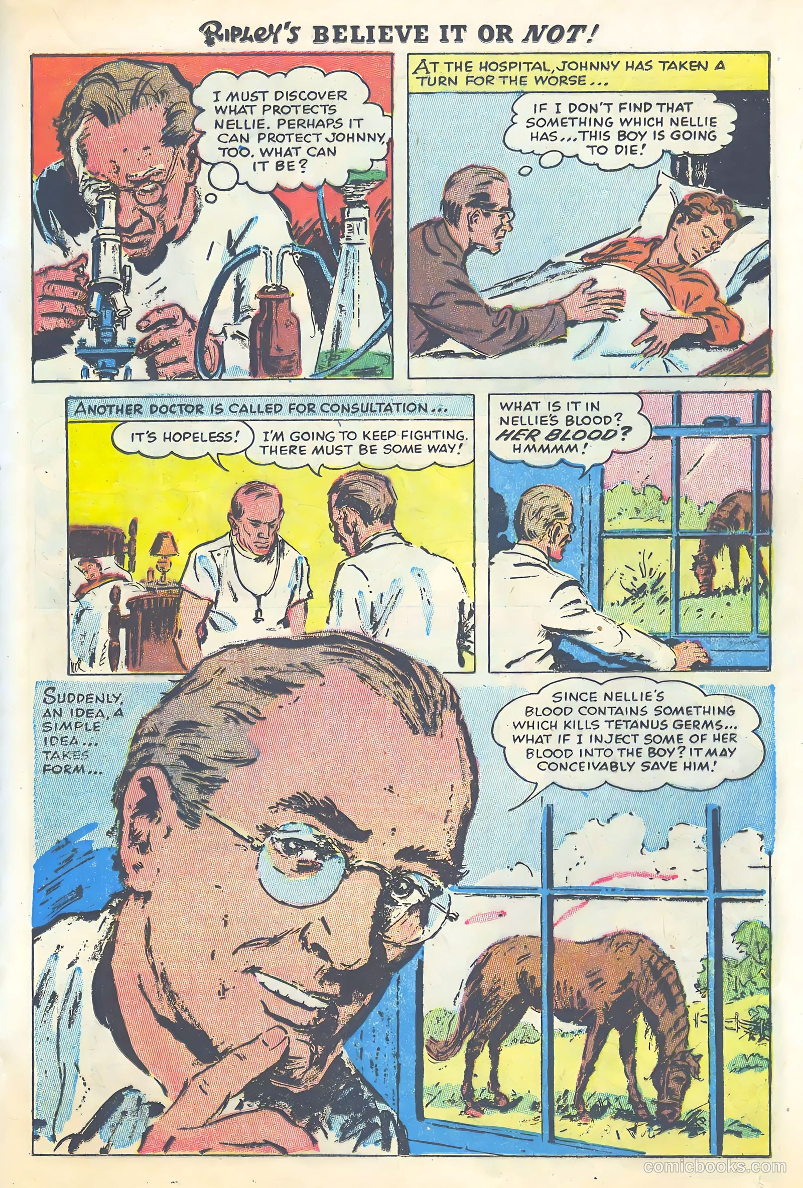 Ripley's Believe It or Not #3 — page 15 of 35
