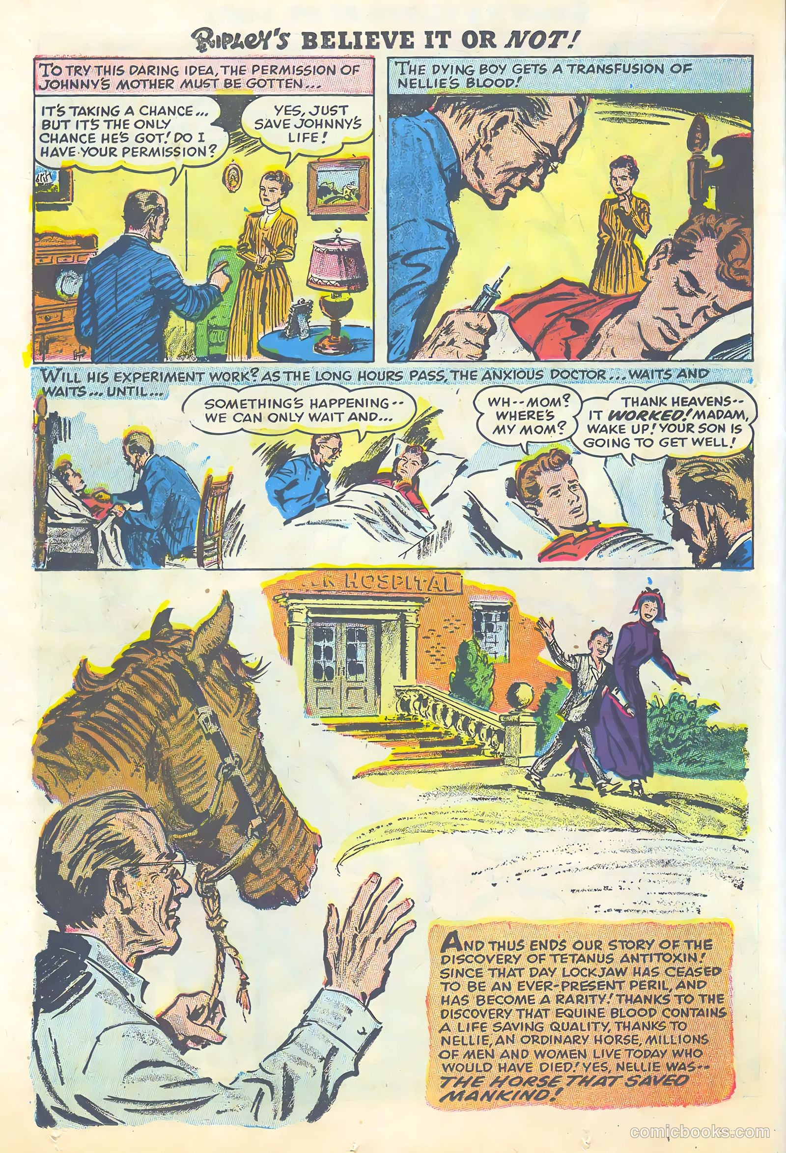 Ripley's Believe It or Not #3 — page 16 of 35