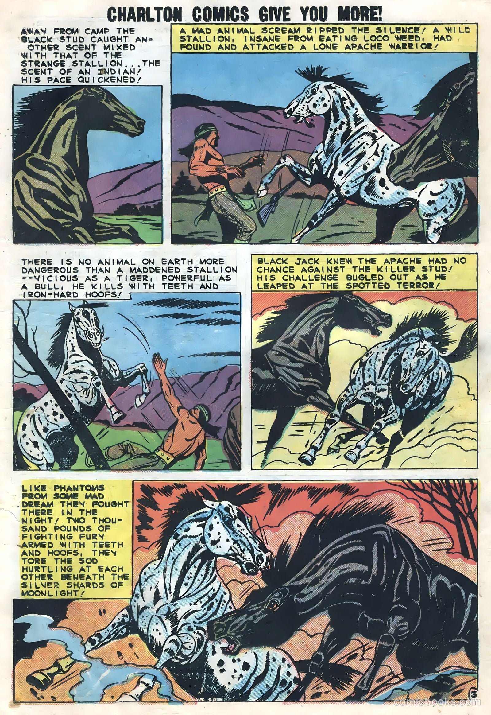 Rocky Lane's Black Jack #30 — page 19 of 36