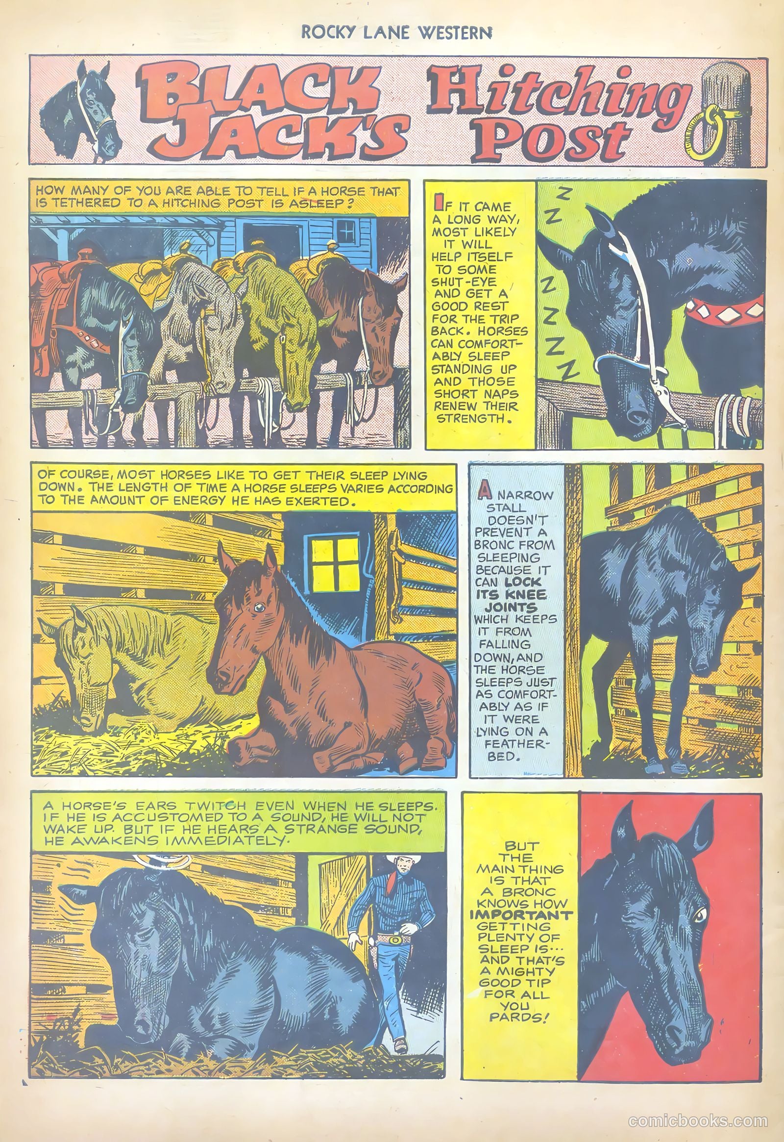 Rocky Lane Western #17 — page 50 of 52