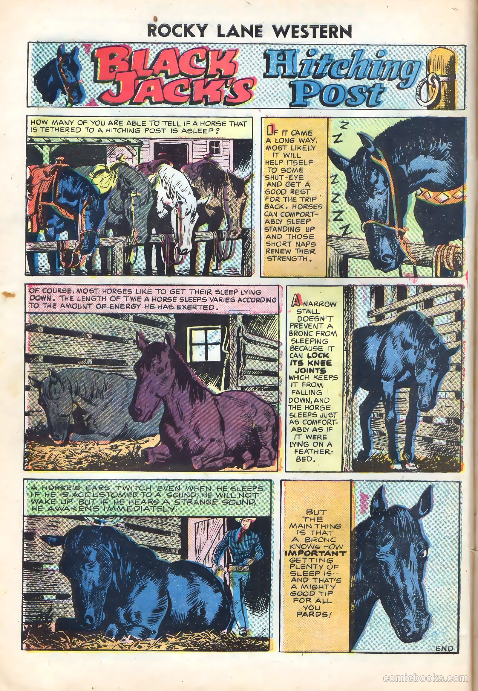 Rocky Lane Western #72 — page 8 of 36