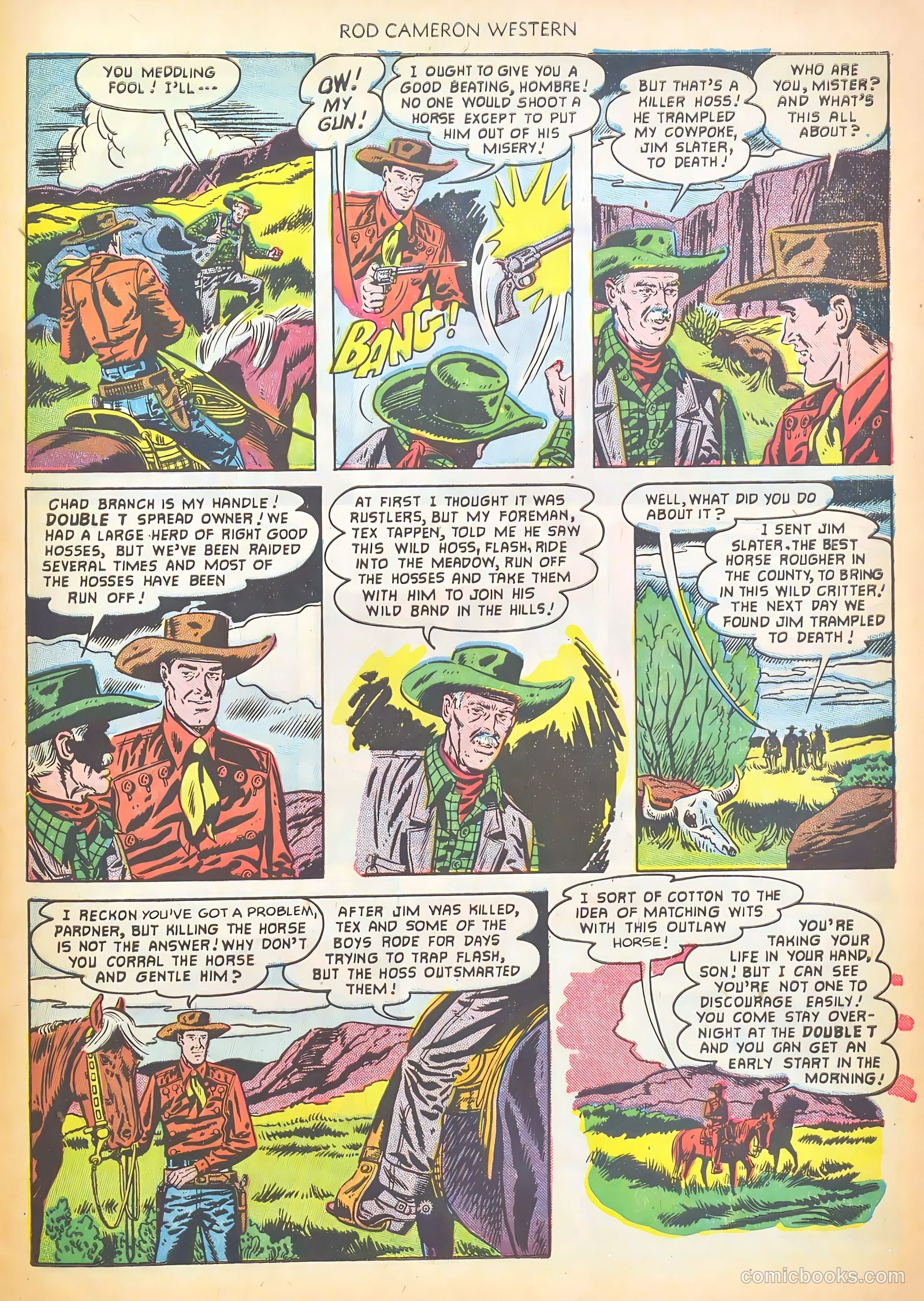 Rod Cameron Western #16 — page 29 of 36