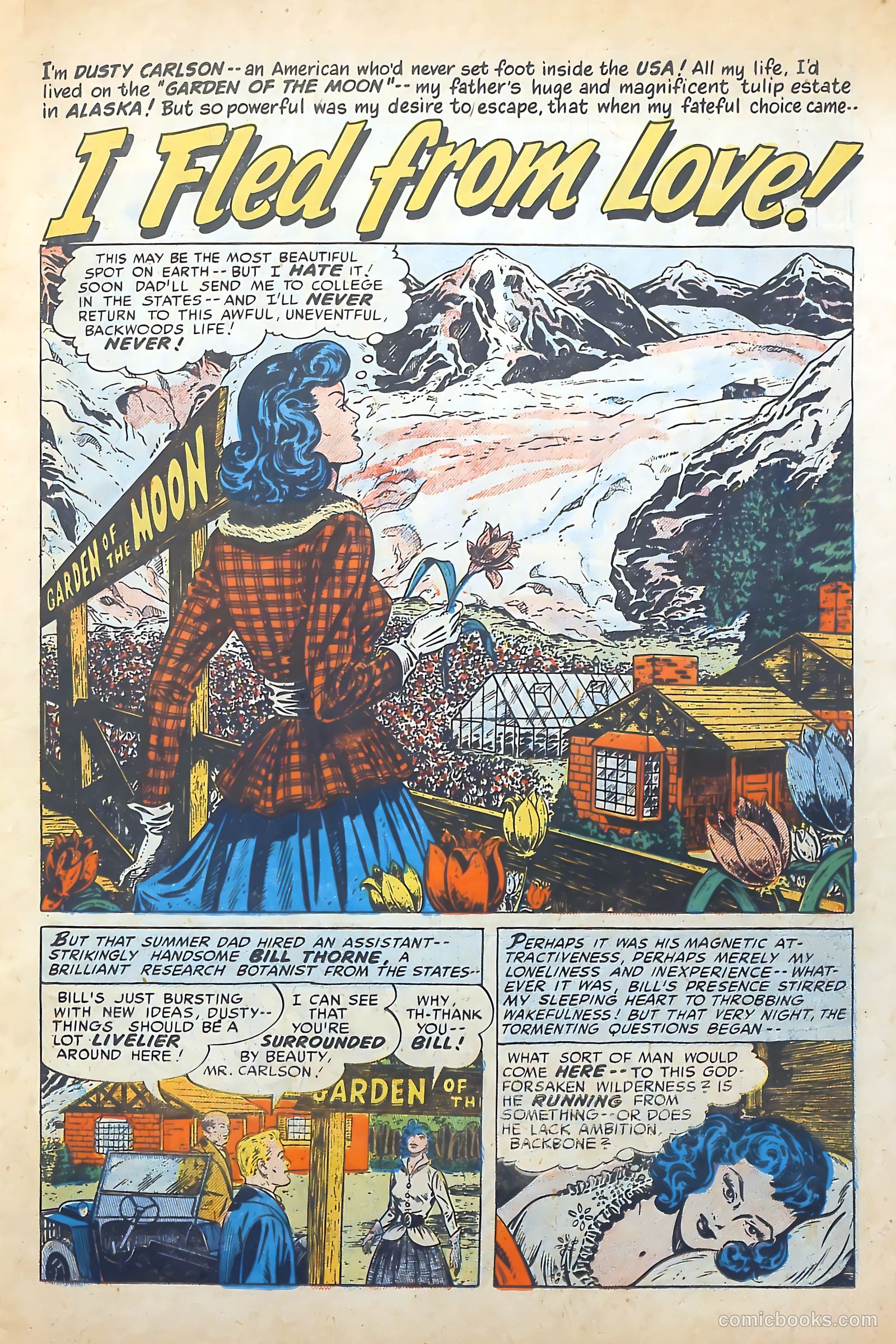 Romantic Adventures #44 — page 15 of 36