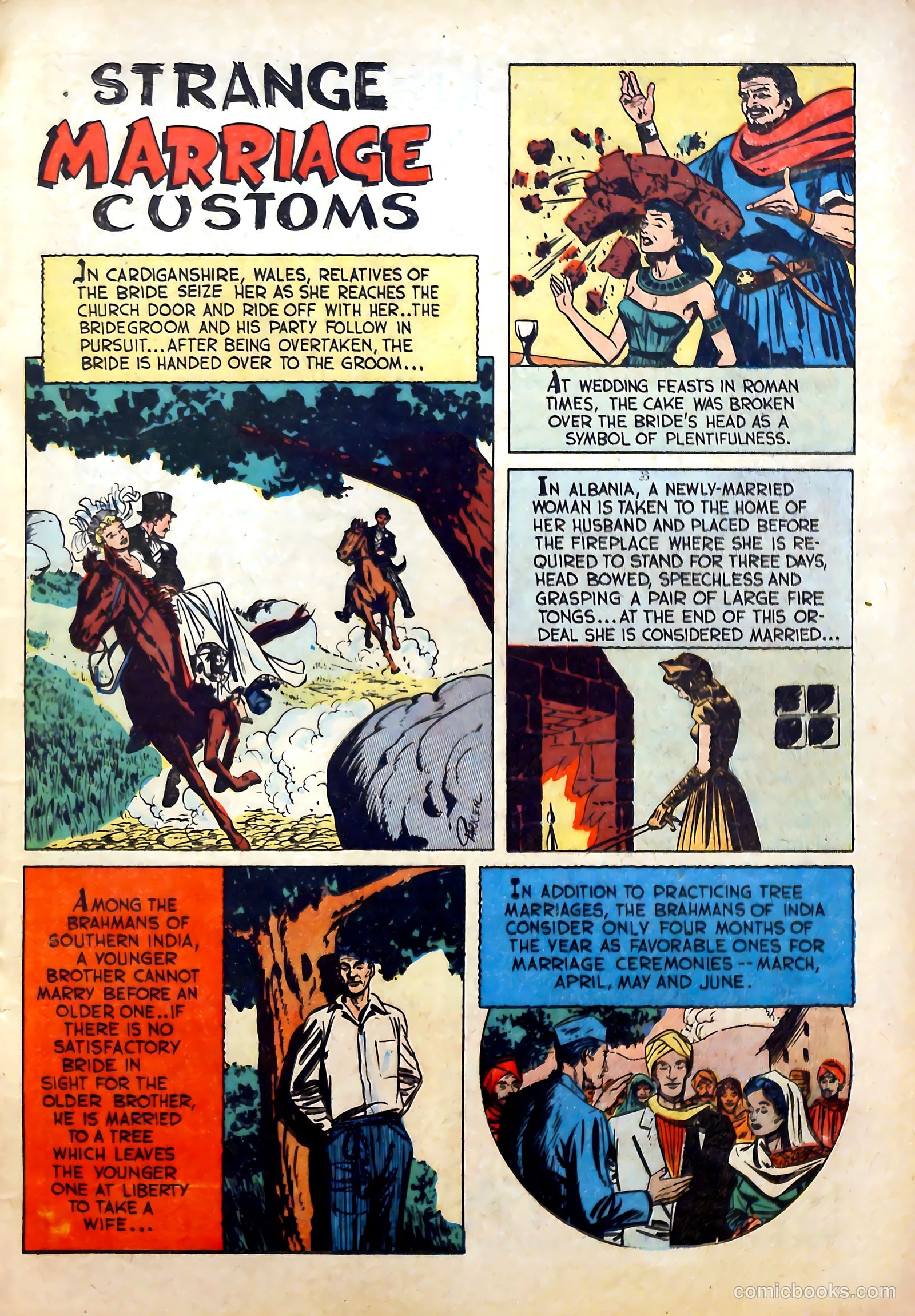 Romantic Marriage #5 — page 25 of 52