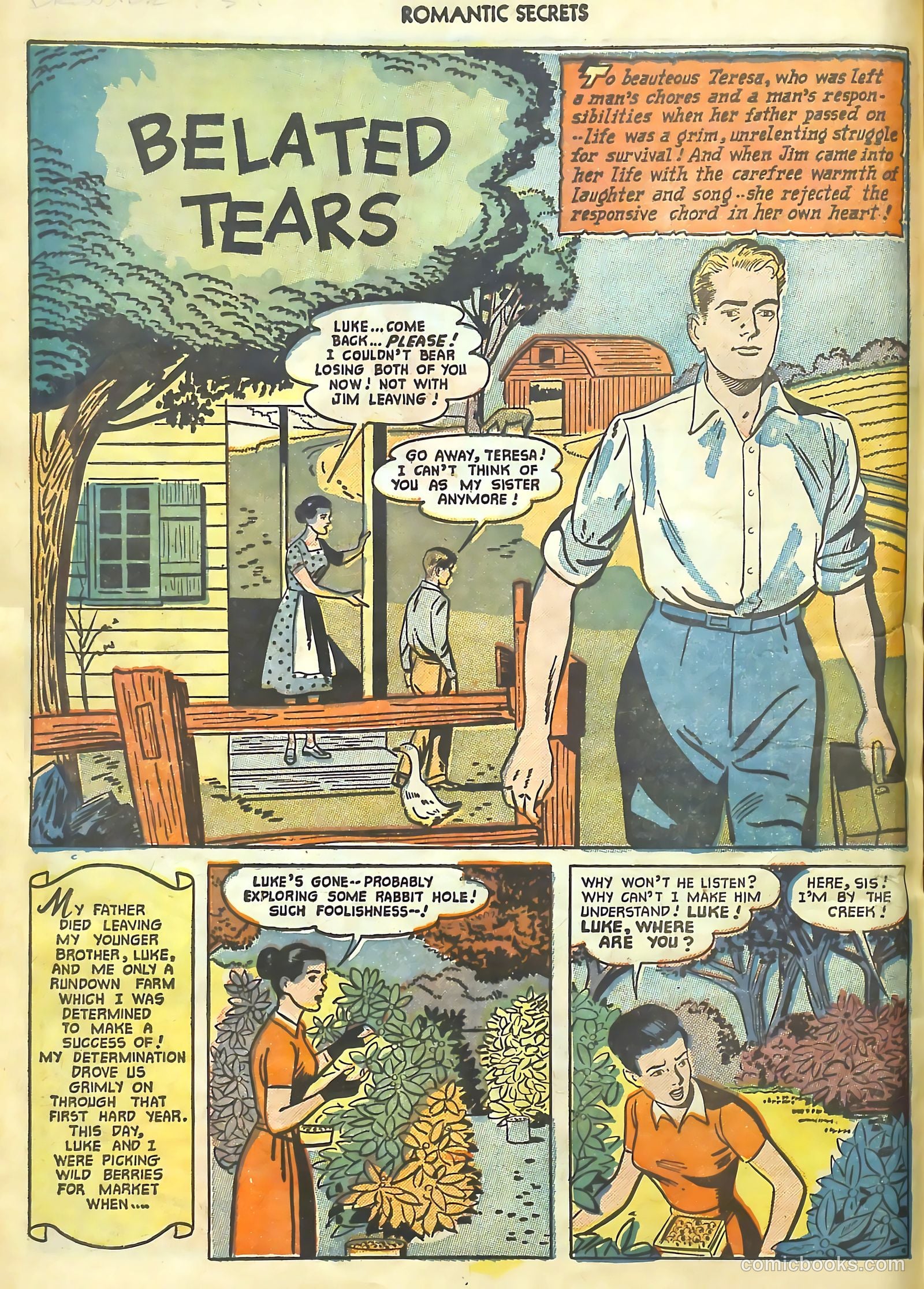 Romantic Secrets #20 — page 15 of 37