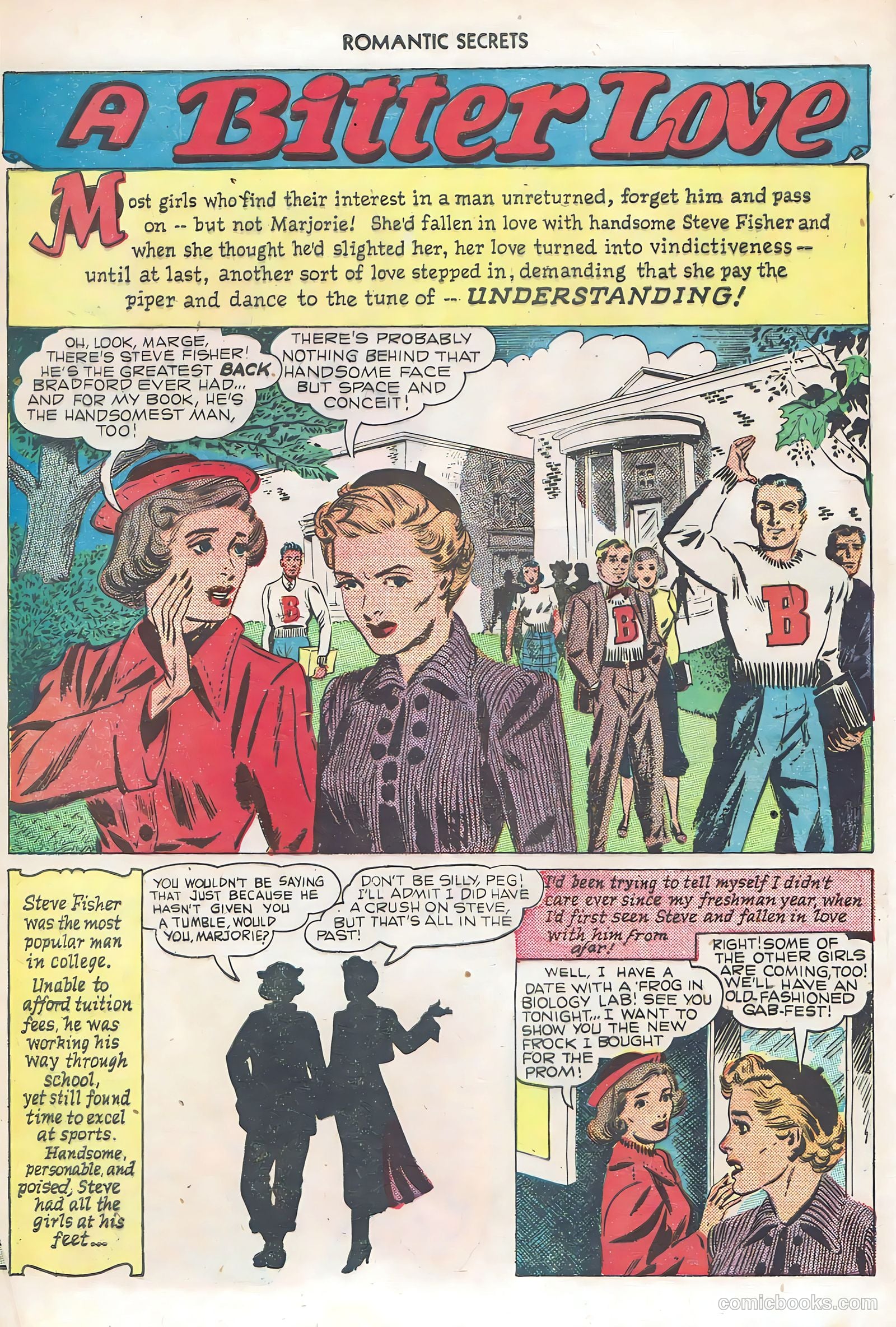 Romantic Secrets #6 — page 16 of 52