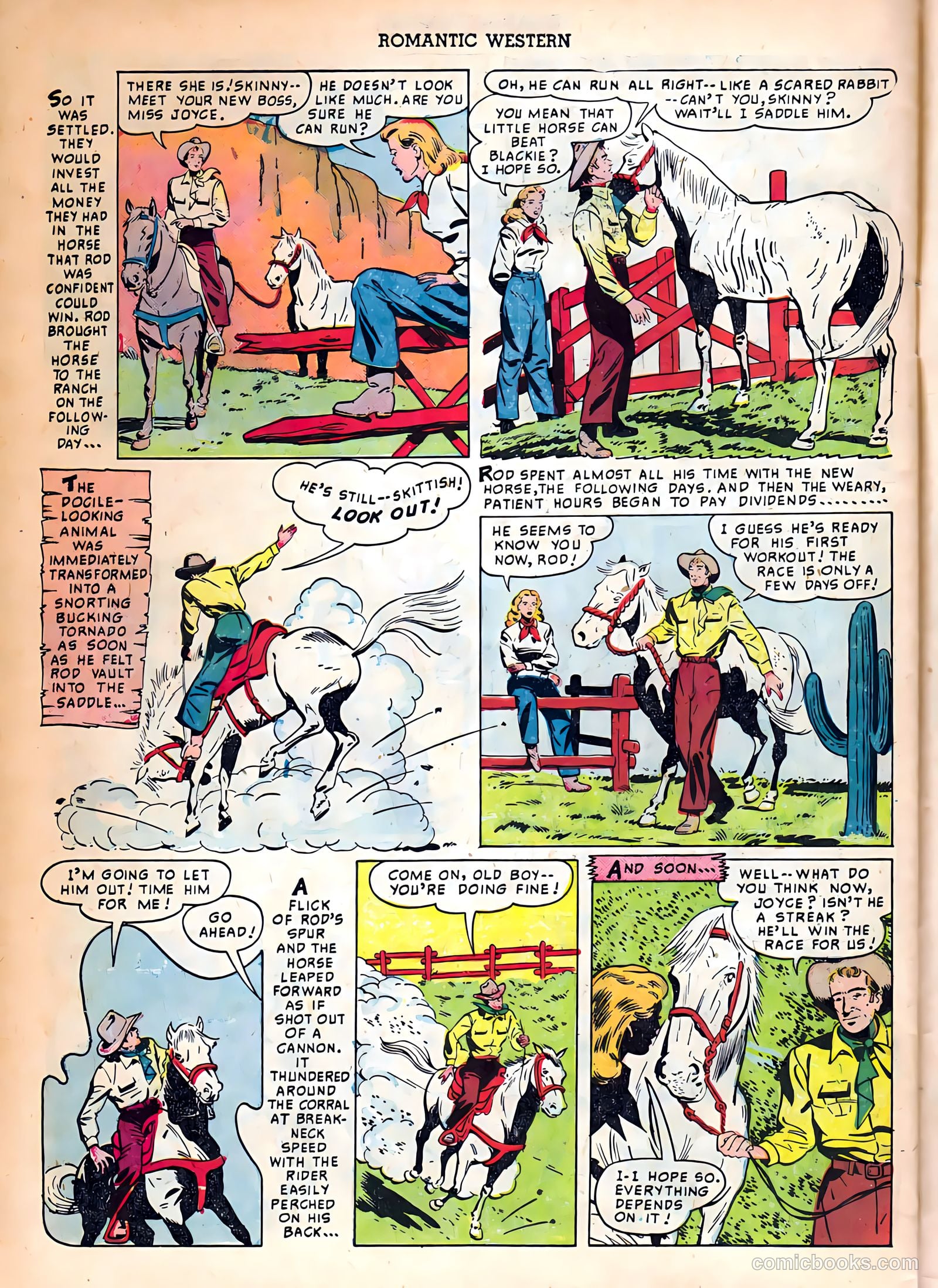 Romantic Western #2 — page 30 of 36