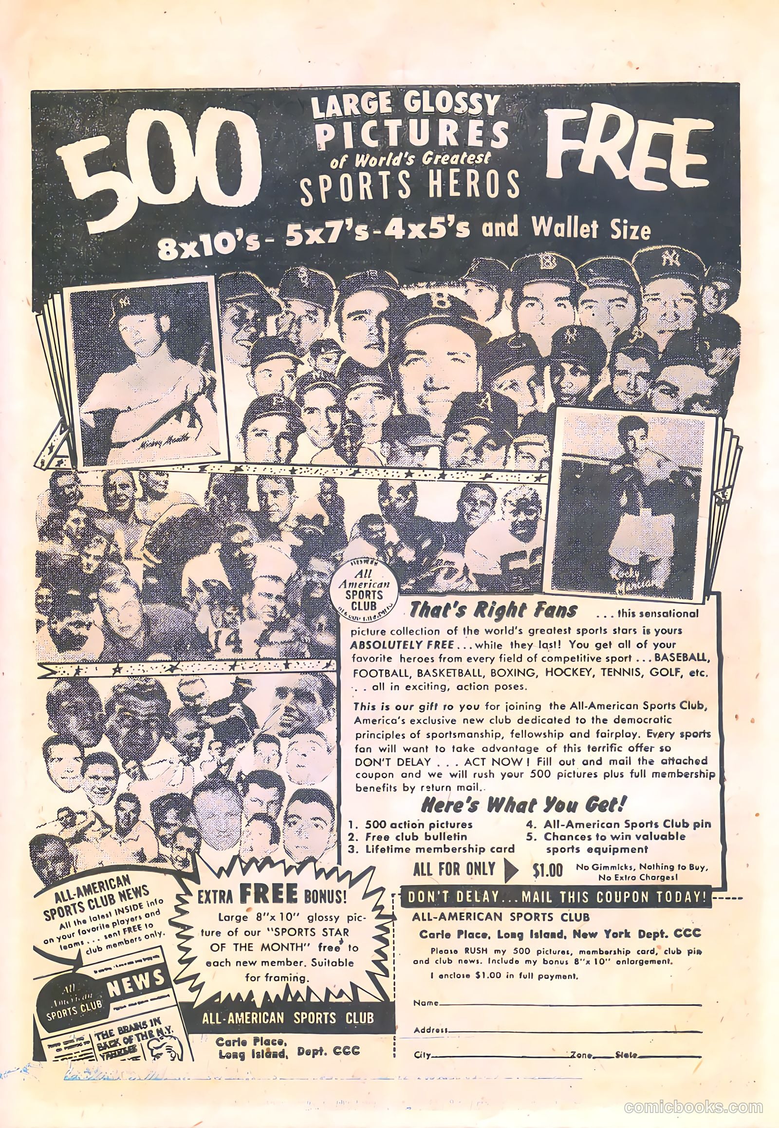 Rookie Cop #33 — page 31 of 36