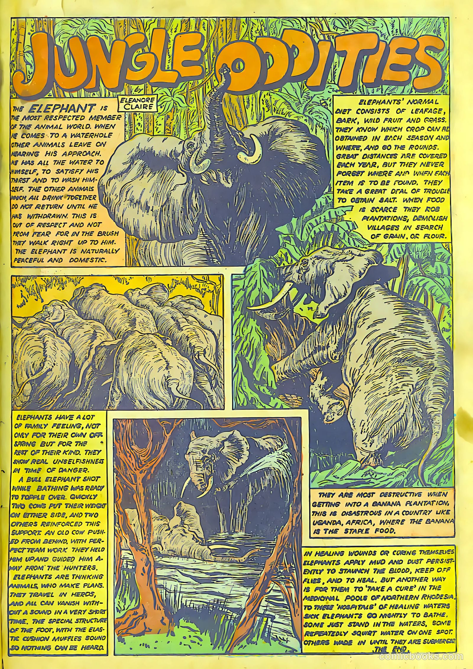 Rulah #21 — page 31 of 32