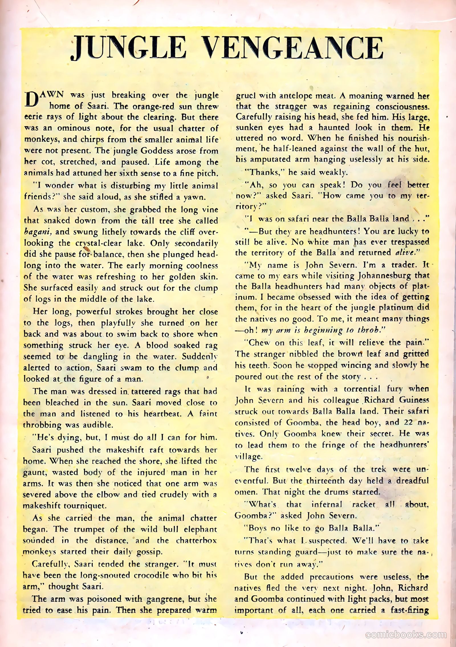 Saari #1 — page 19 of 36