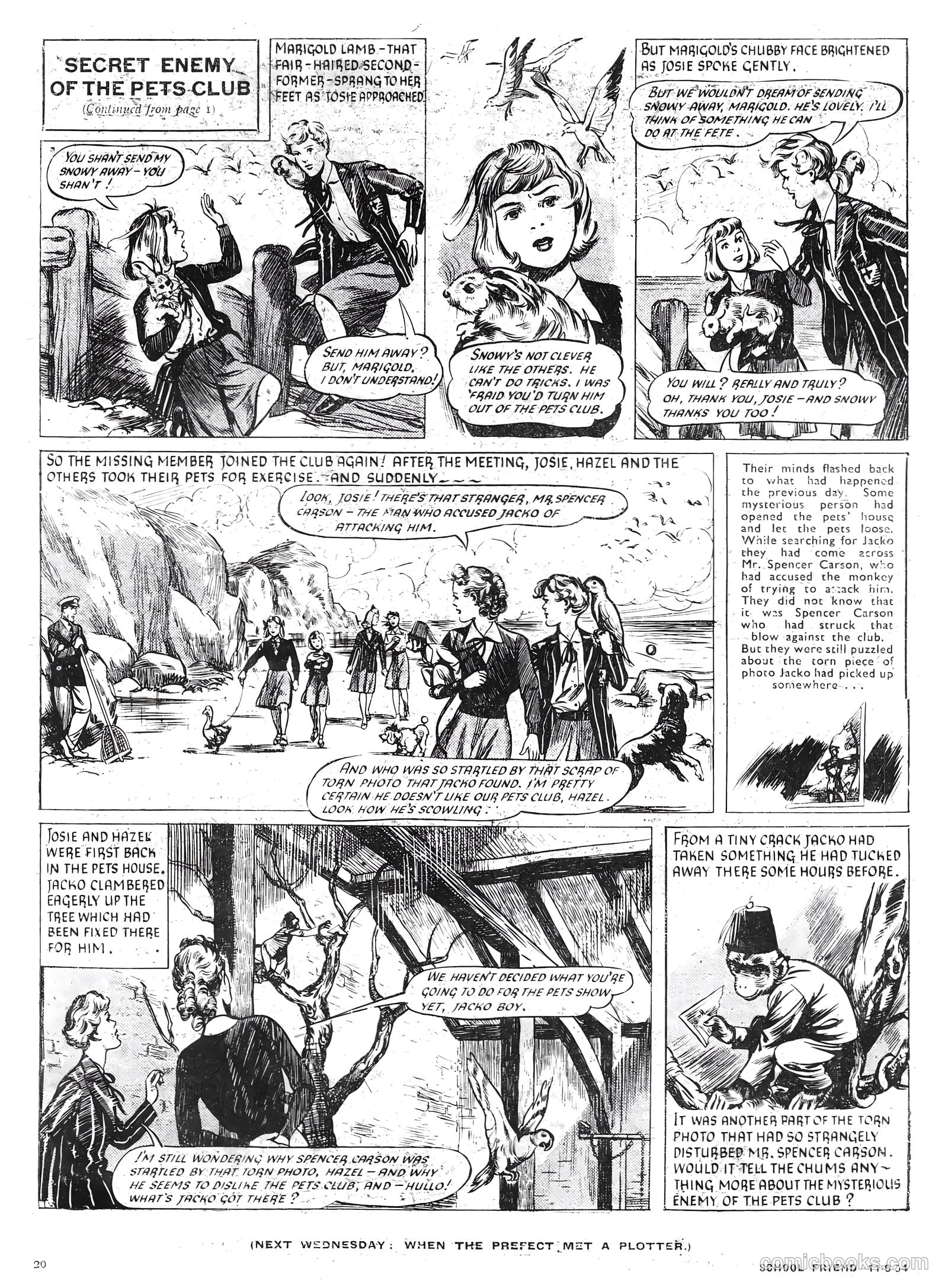 School Friend #226 — page 20 of 20