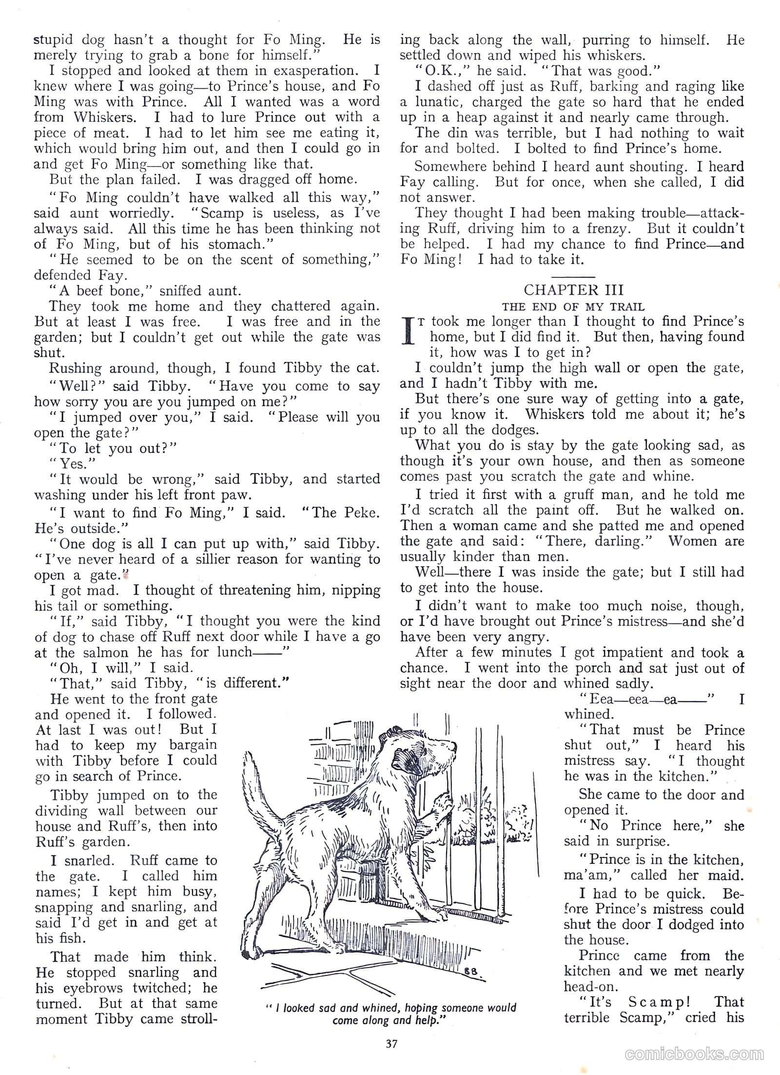 School Friend Annual #1953 — page 36 of 93