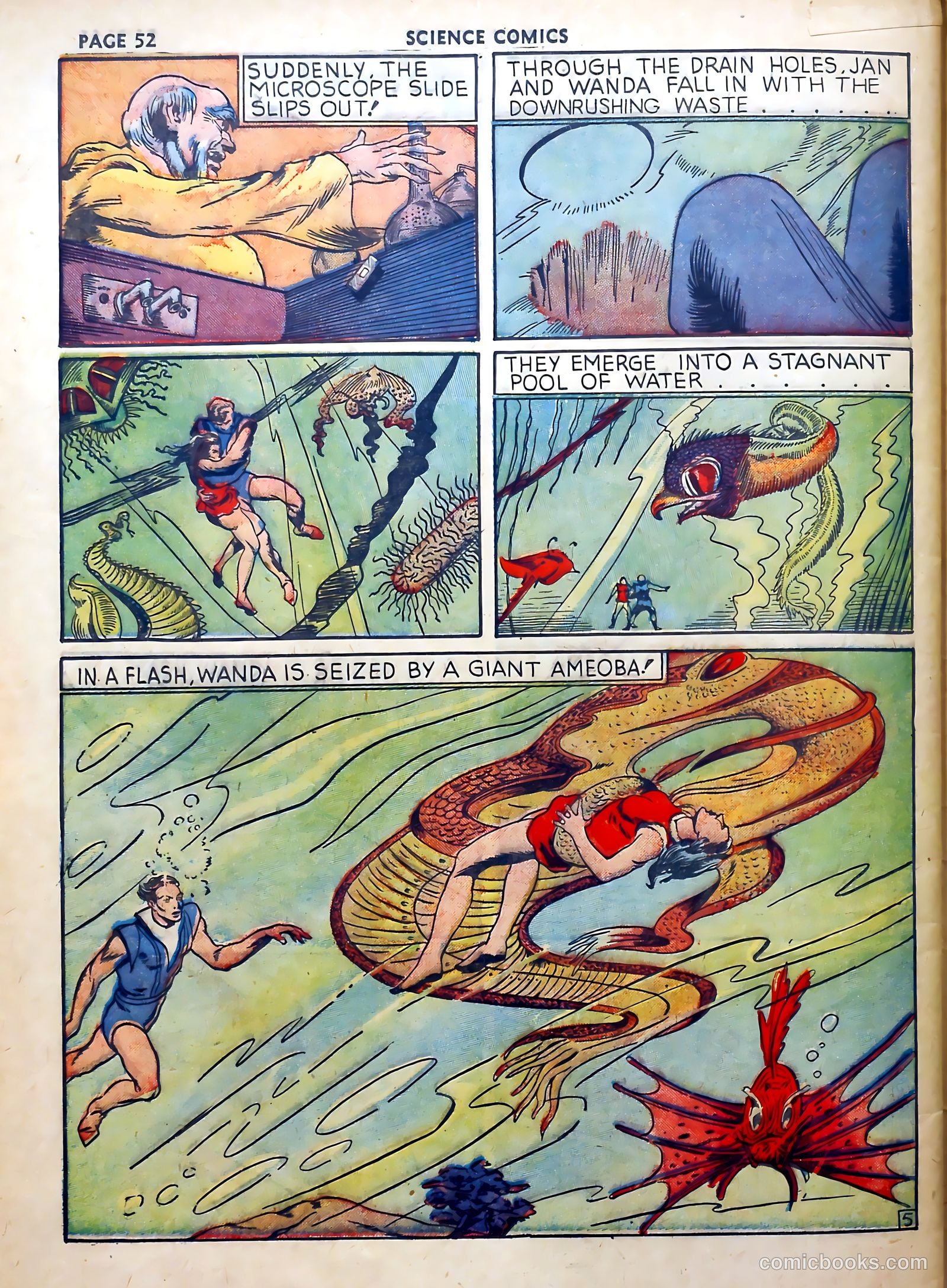 Science Comics #1 — page 49 of 62