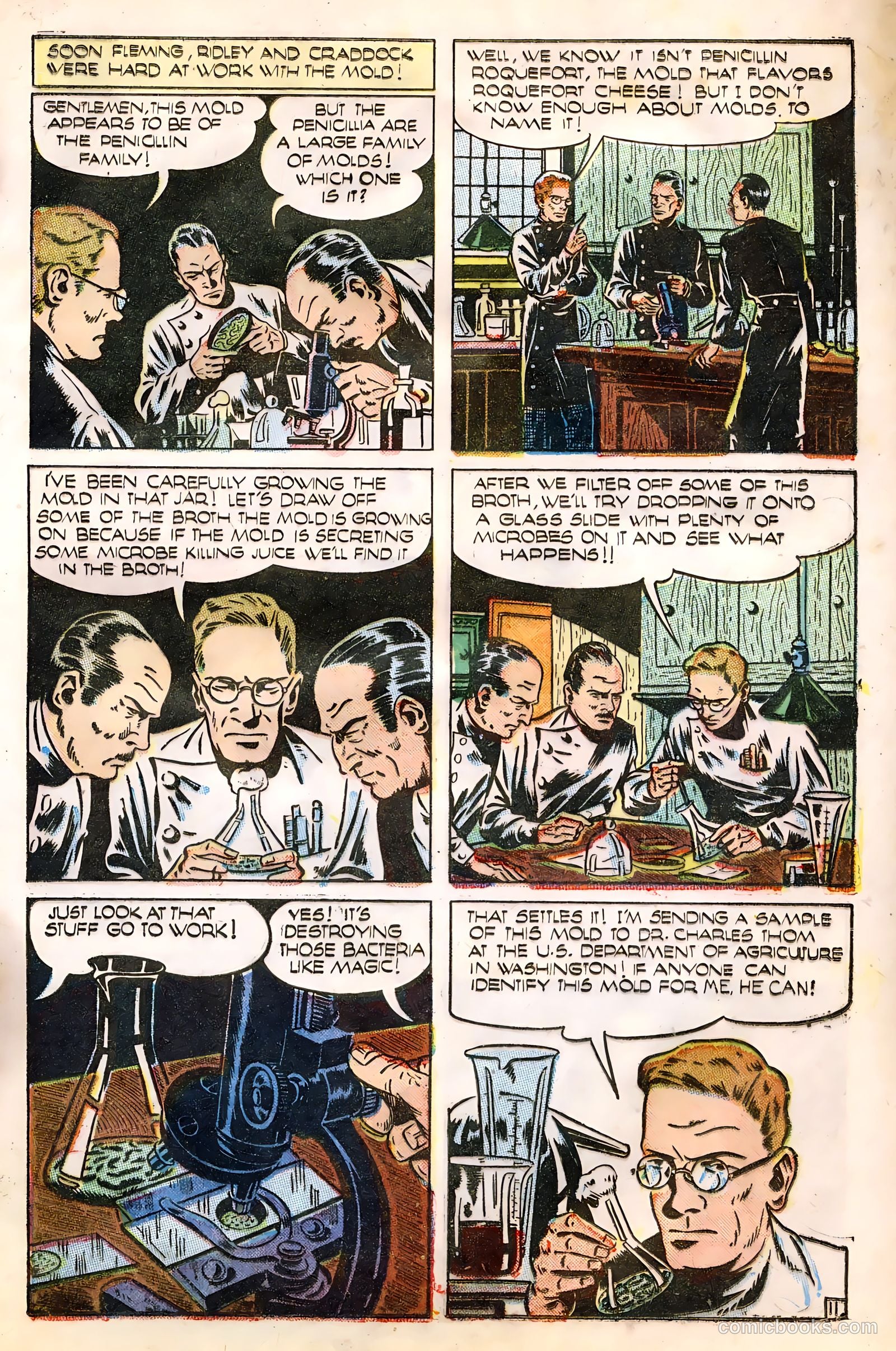 Science Comics #1 — page 13 of 36